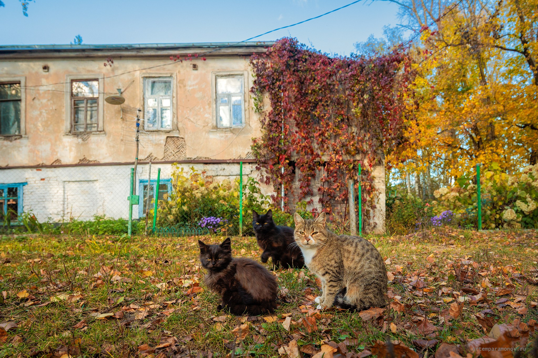 Усадьба Хомякова в Богучарово