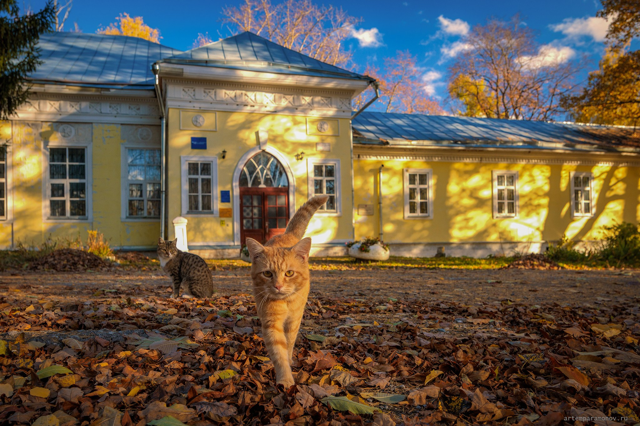 Усадьба Хомякова в Богучарово