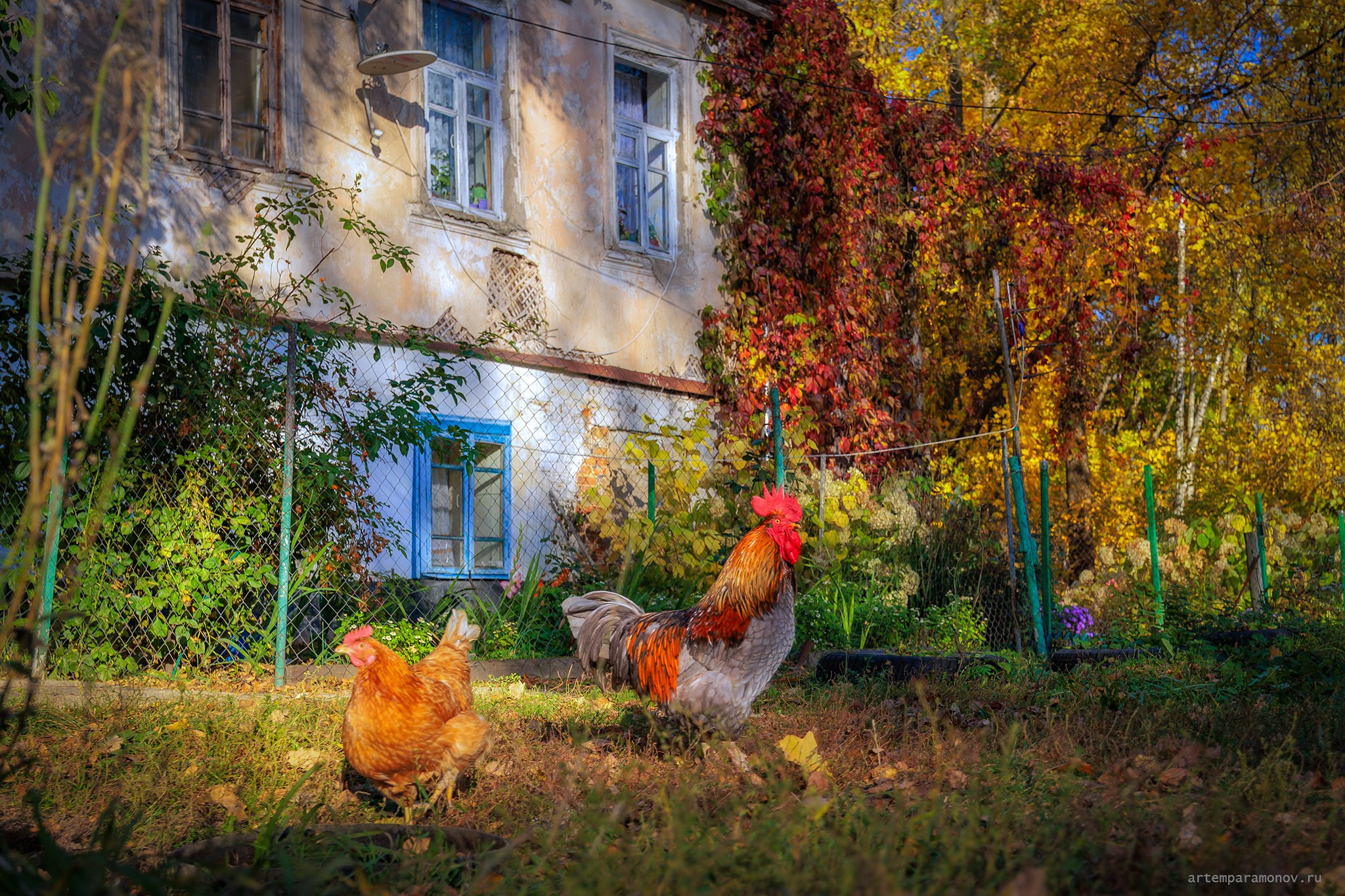 Усадьба Хомякова