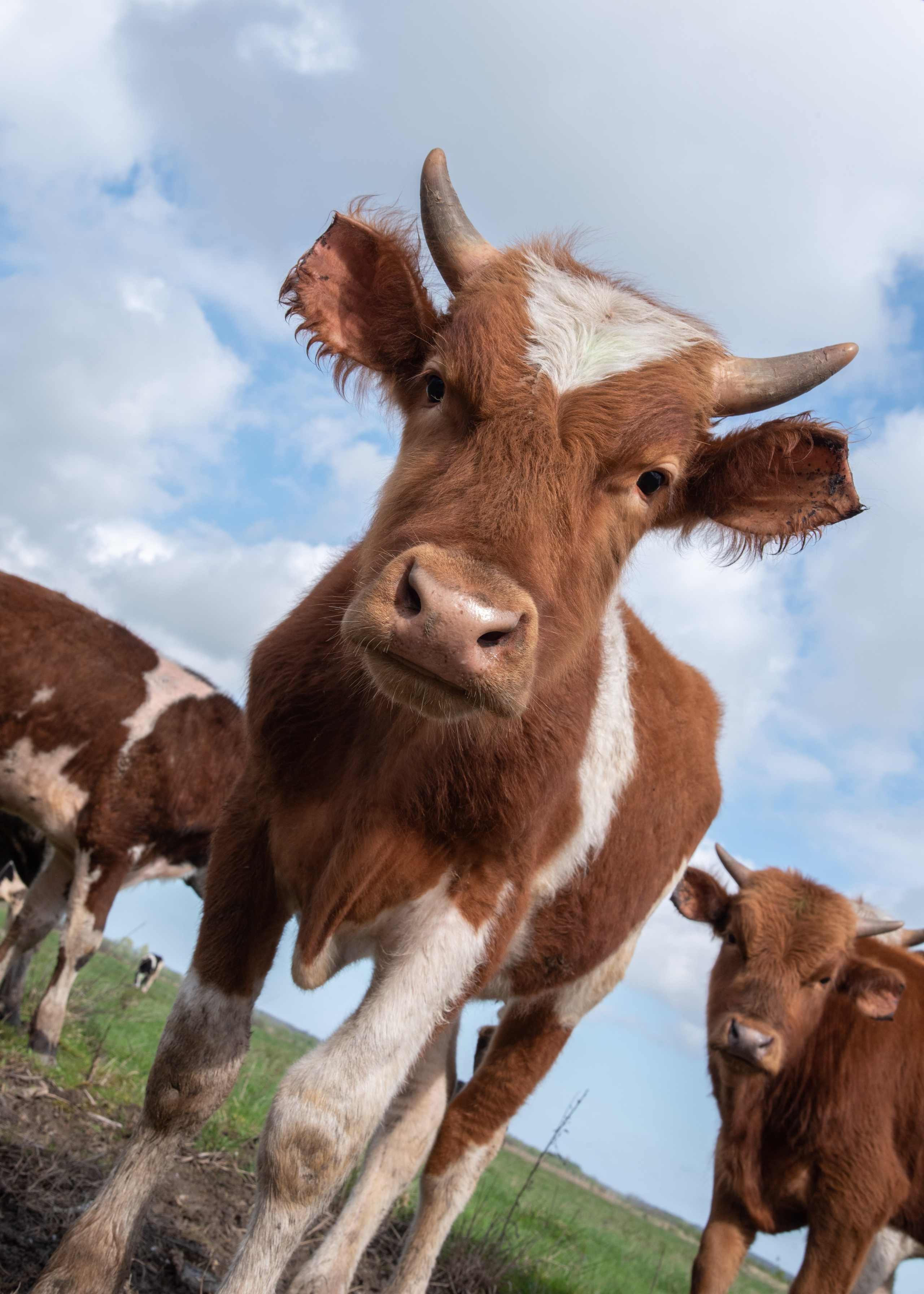 Калининград, Светлогорск. Фотограф Юлия Зимина
