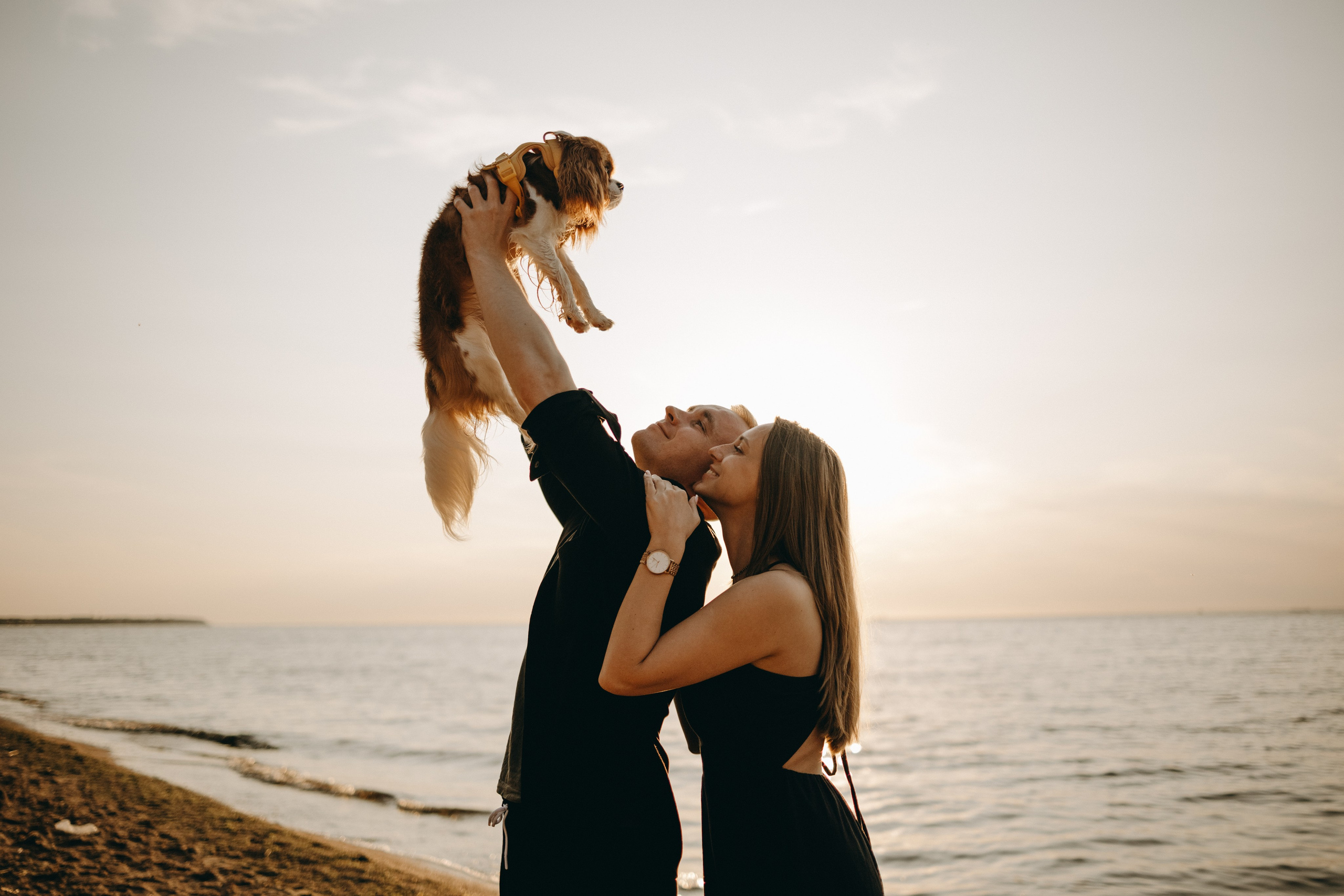 Лу и его семья. Фотограф — Анималист | Санкт-Петербург