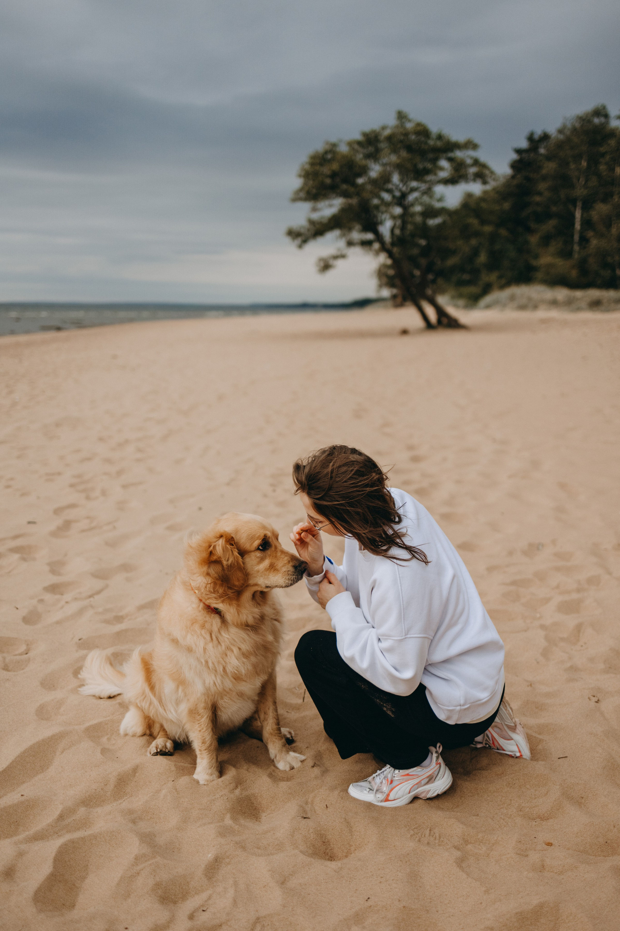 Фоси и его семьи. Фотограф — Анималист | Санкт-Петербург