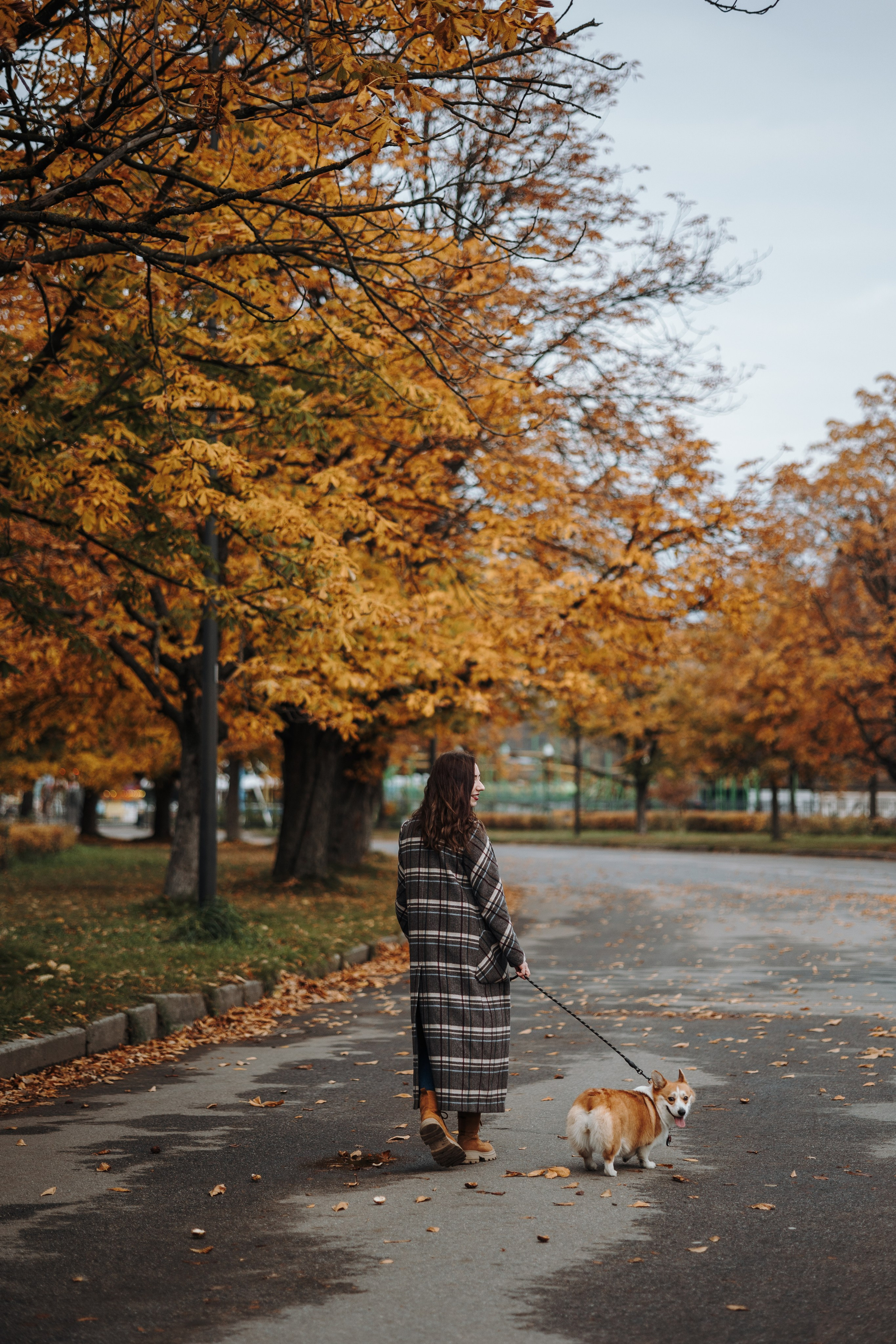 Юля и Терри. Фотограф — Анималист | Санкт-Петербург