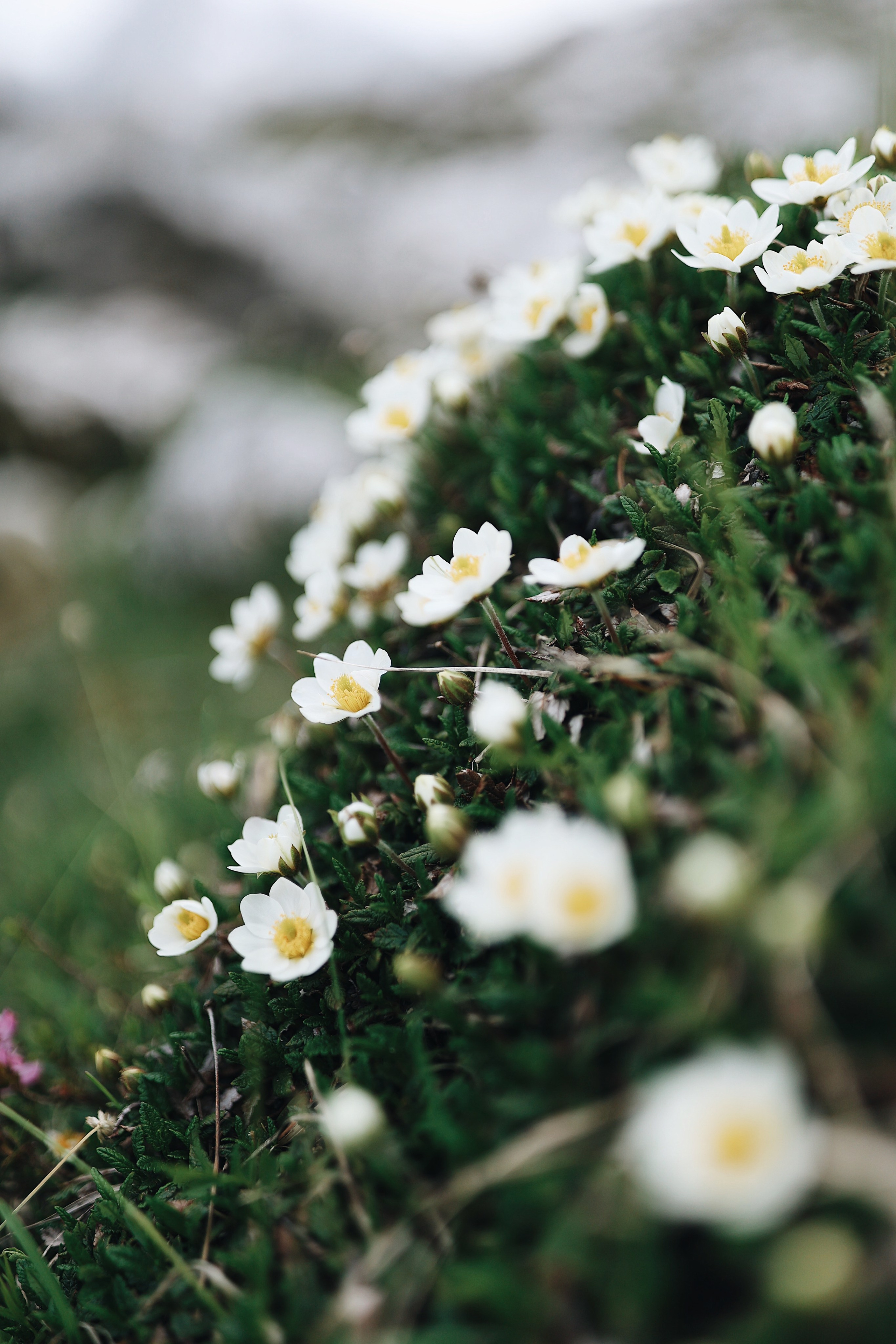 Italy. From Dolomites to Toscana. Ekaterina Buneeva Photography