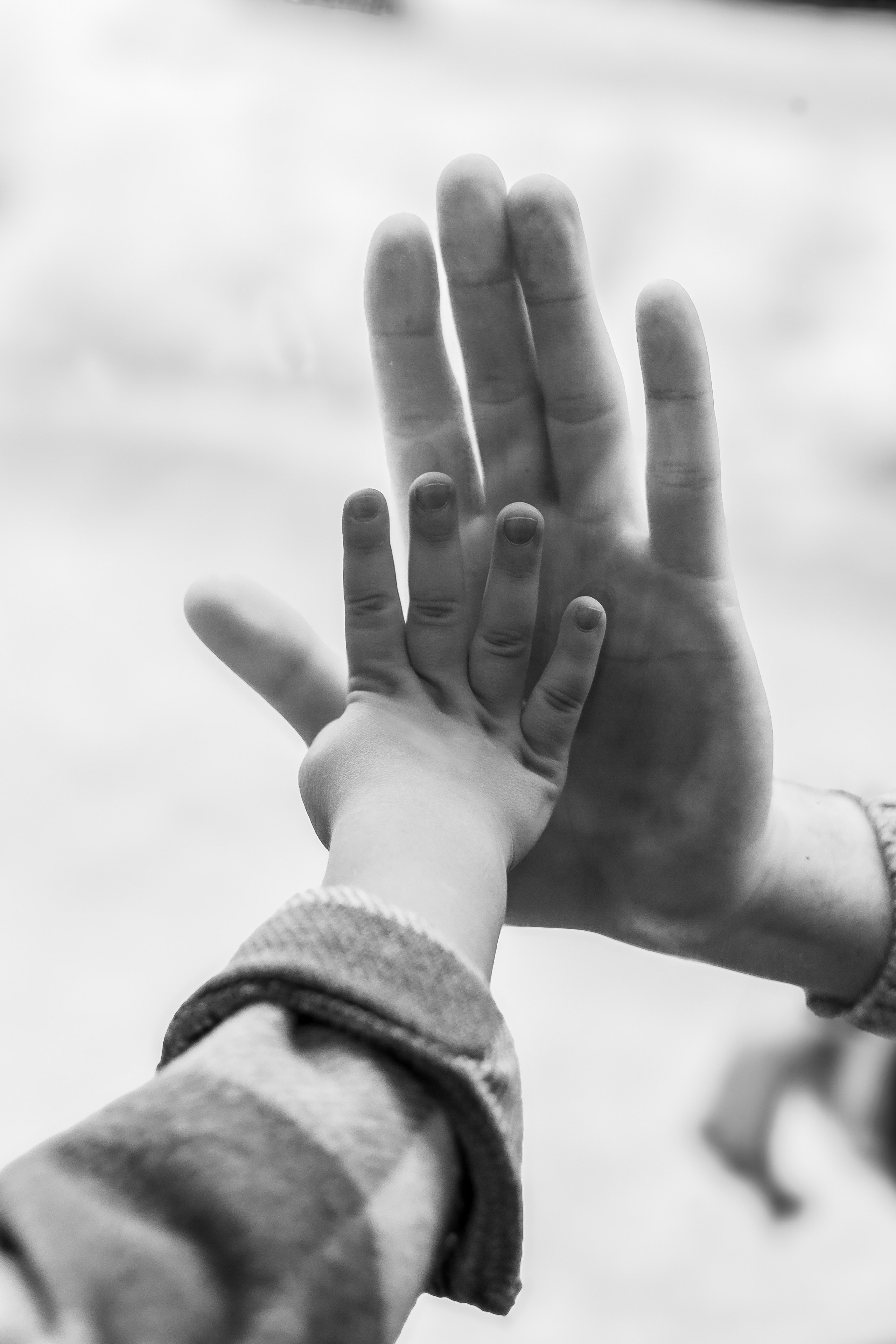 Щебетун. Портретный, семейный, свадебный фотограф в Брянске Маргарита Василькова