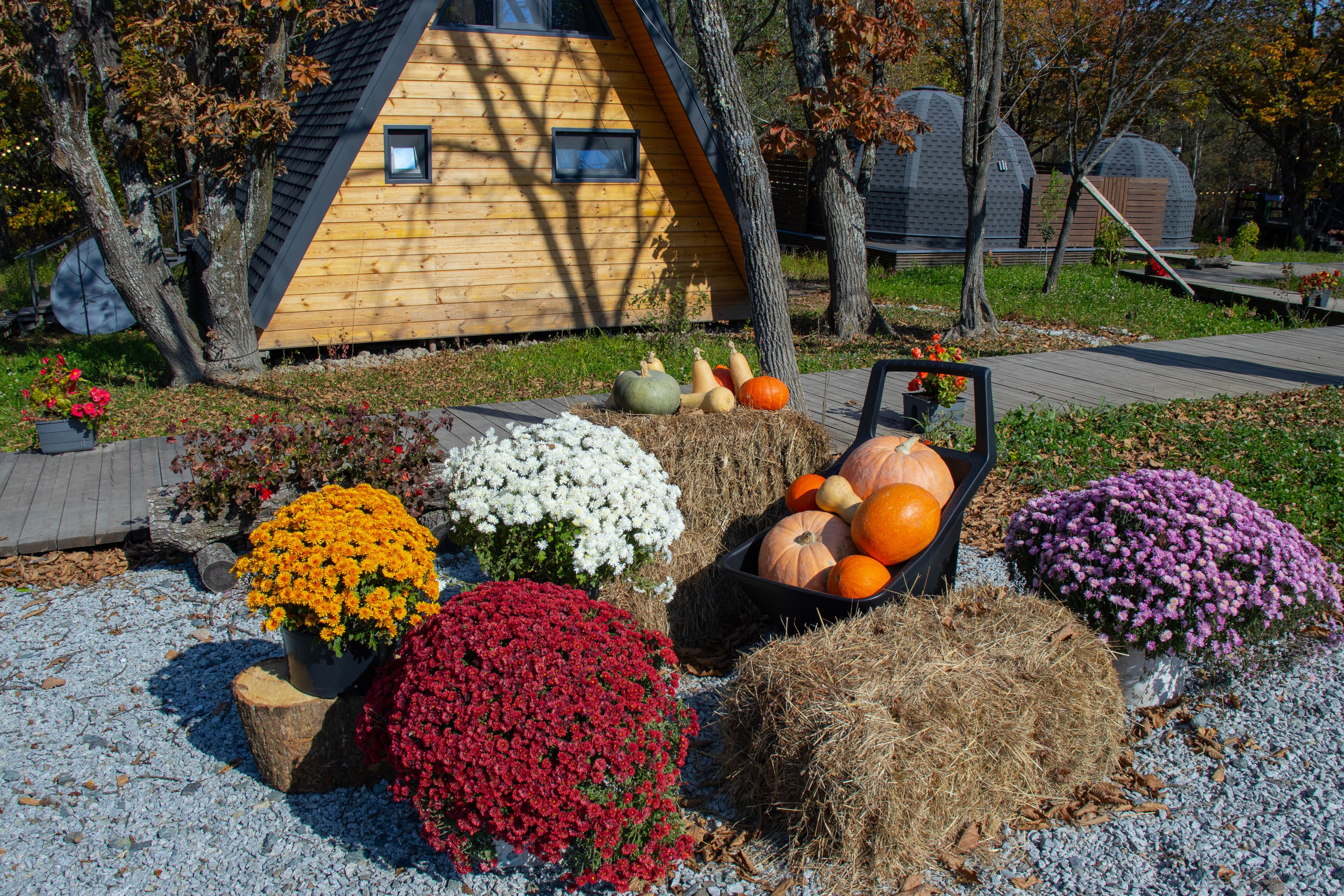 Dubki Glamping. Рекламное агентство Результат Владивосток