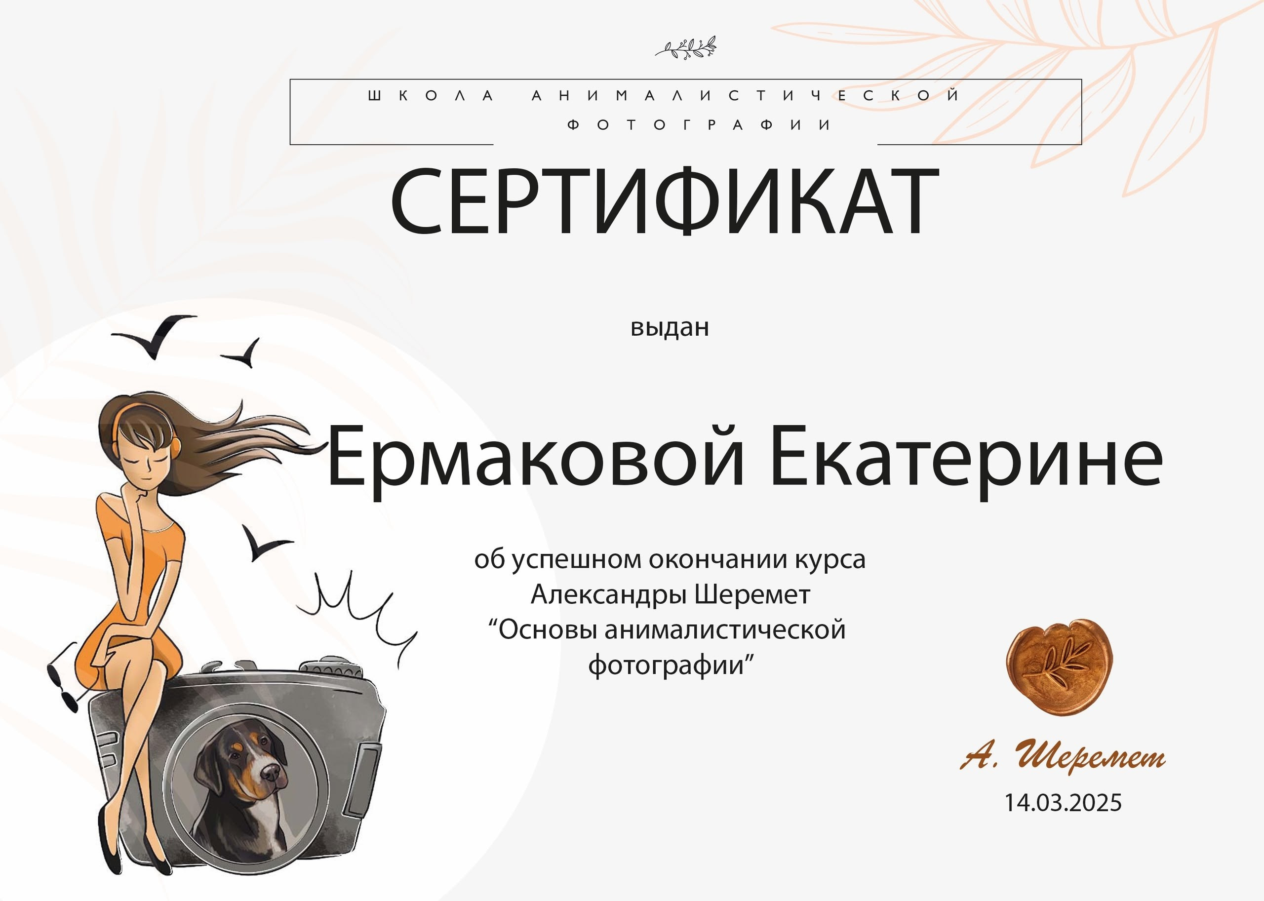 Сертификаты. Фотограф-анималист|Ермакова Екатерина