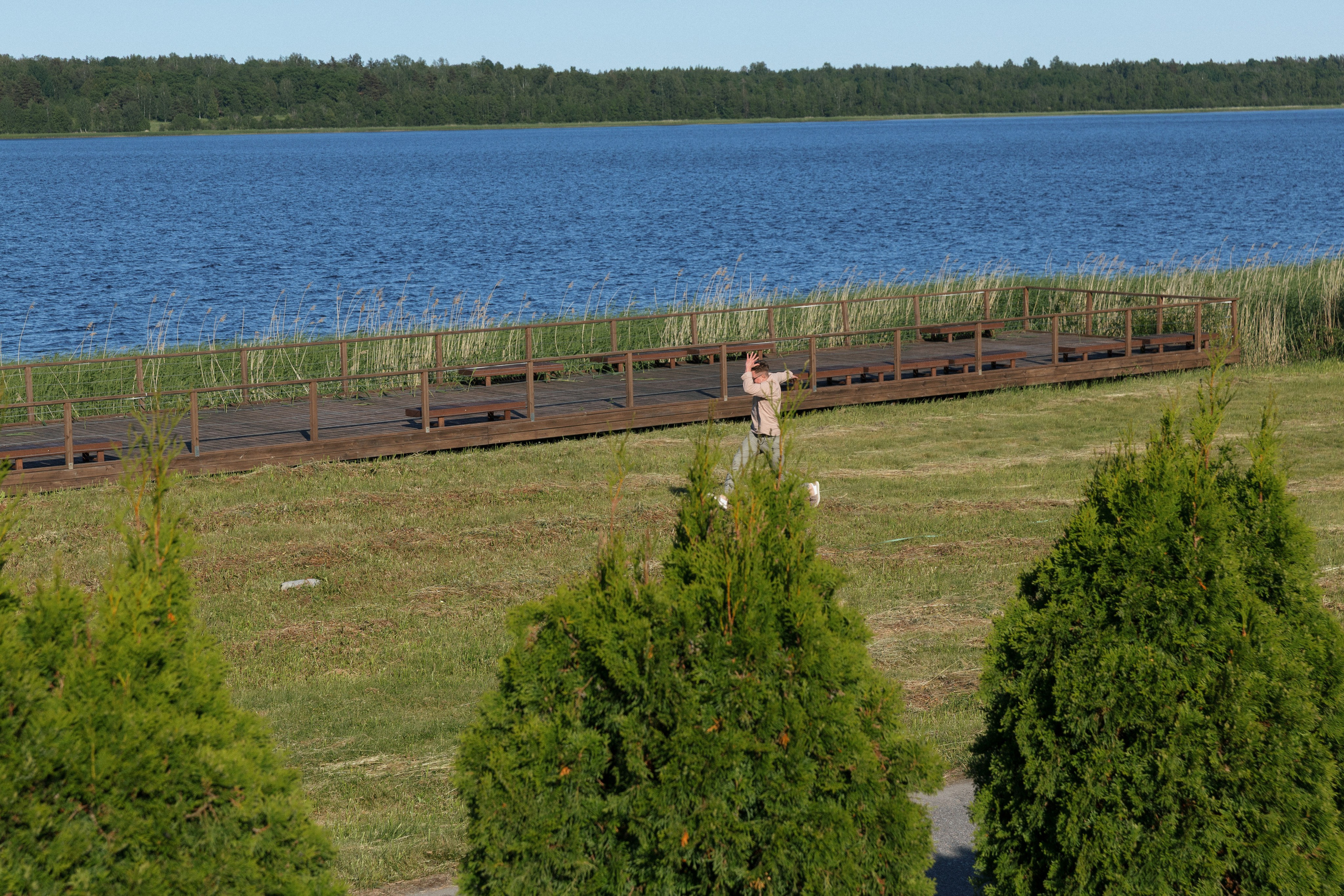 Евгений и Дарья. Свадебный и репортажный фотограф в Санкт-Петербурге Николай Голованов