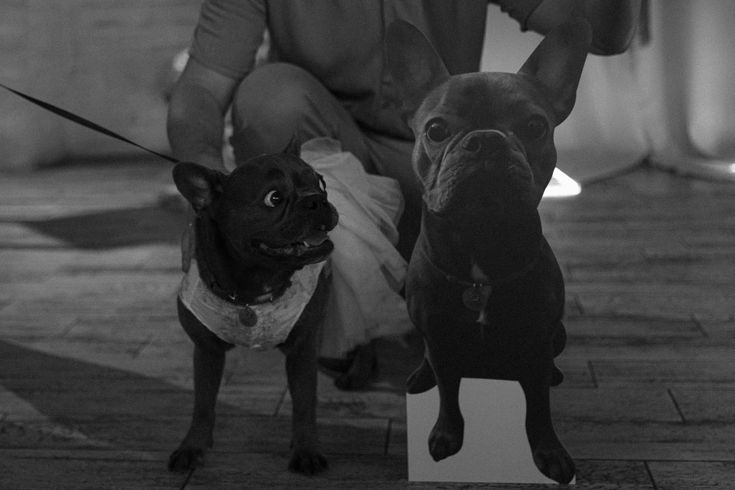 Шепот. ROMA GORBATOVSKY