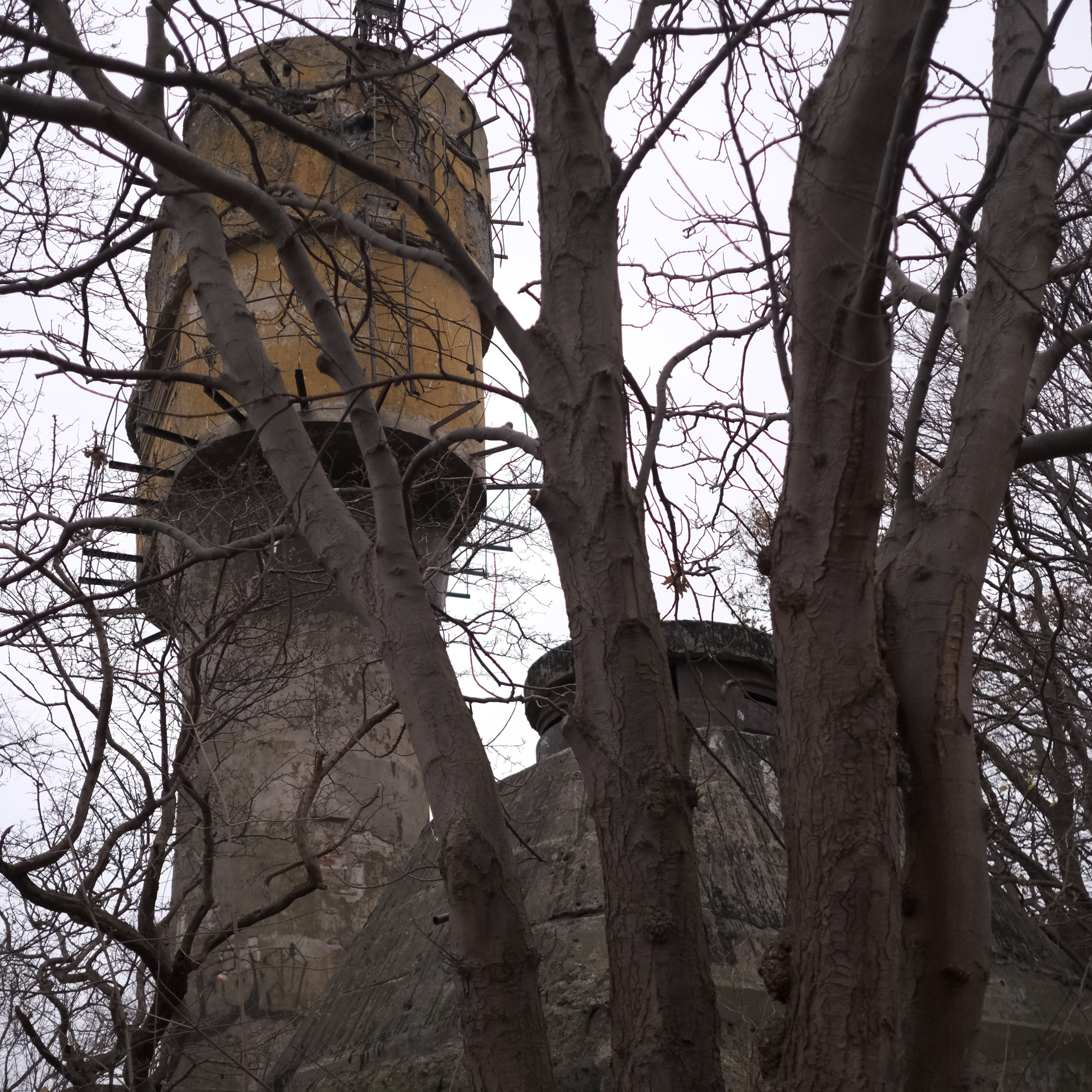 Калининград. LIYALEE PHOTO