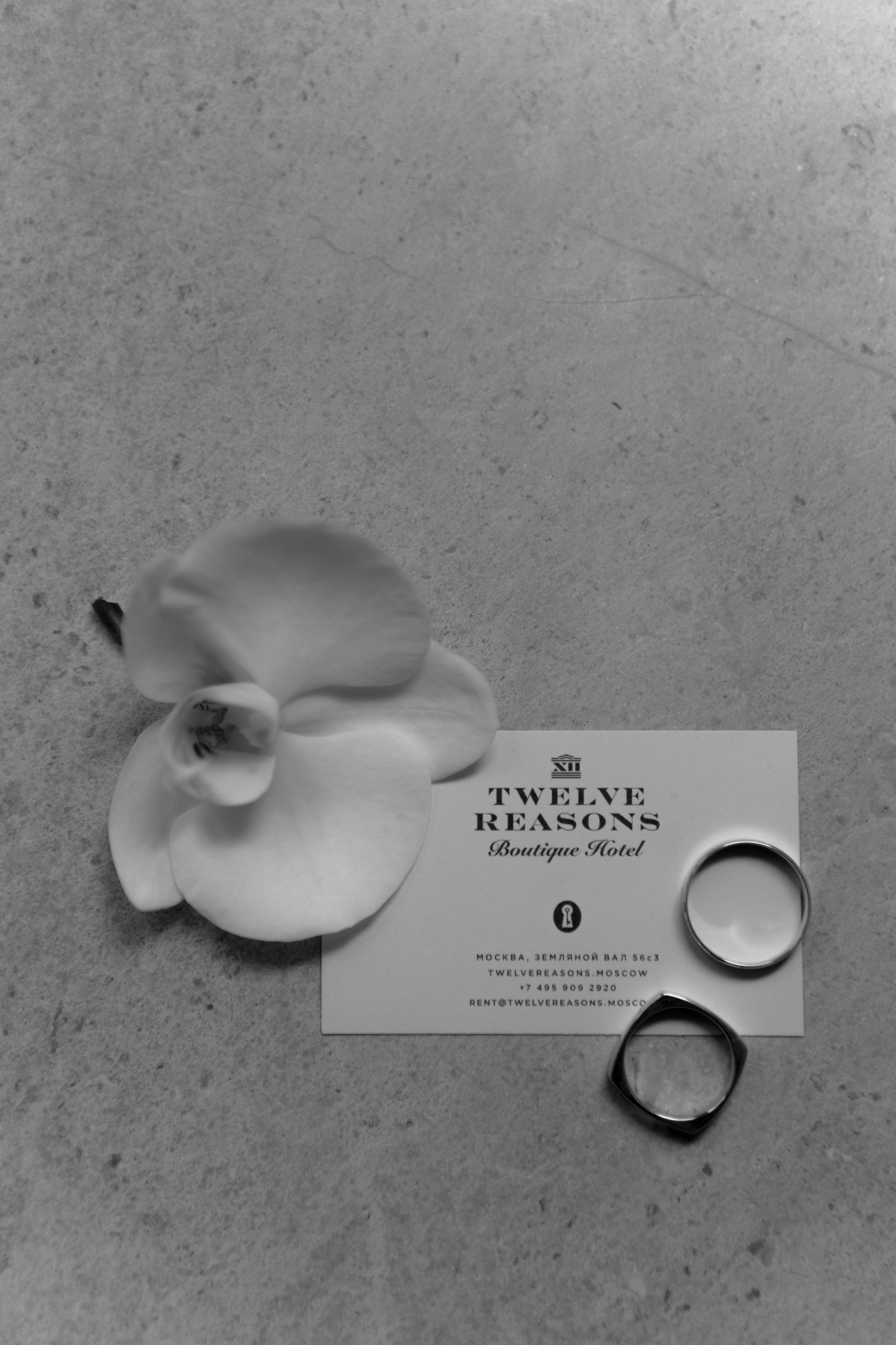 Свадьба Антона и Виктории. Фотограф Кольчугино/Владимир/Москва Елизавета Иода