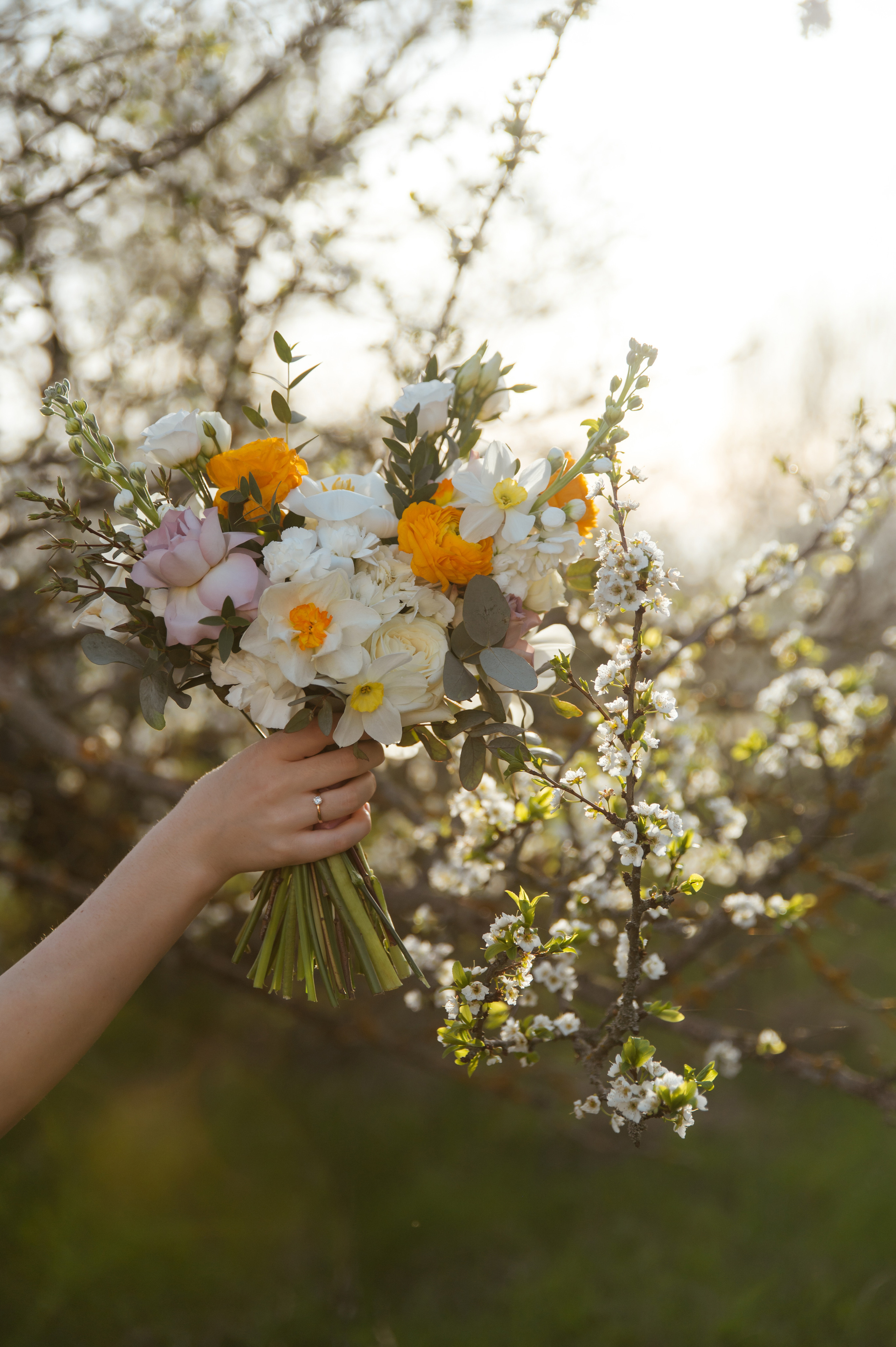 Даша и Данил. Цветение. Свадебный и портретный фотограф в Белгороде Олеся Гавшина