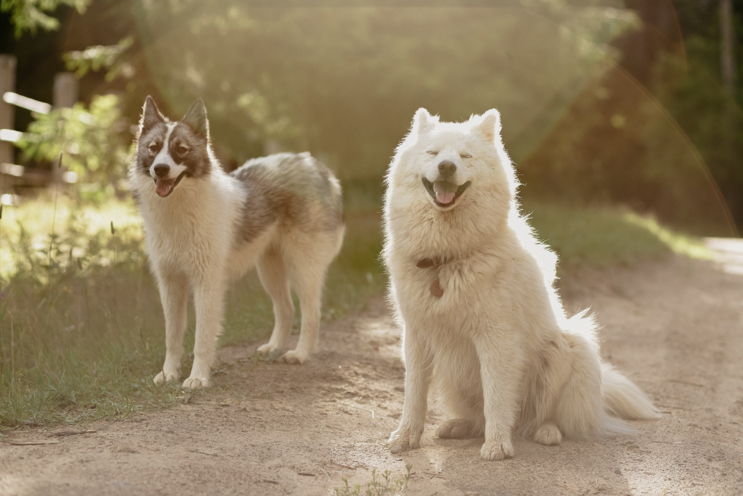 Ферма. Фотограф Москва и Санкт-Петербург