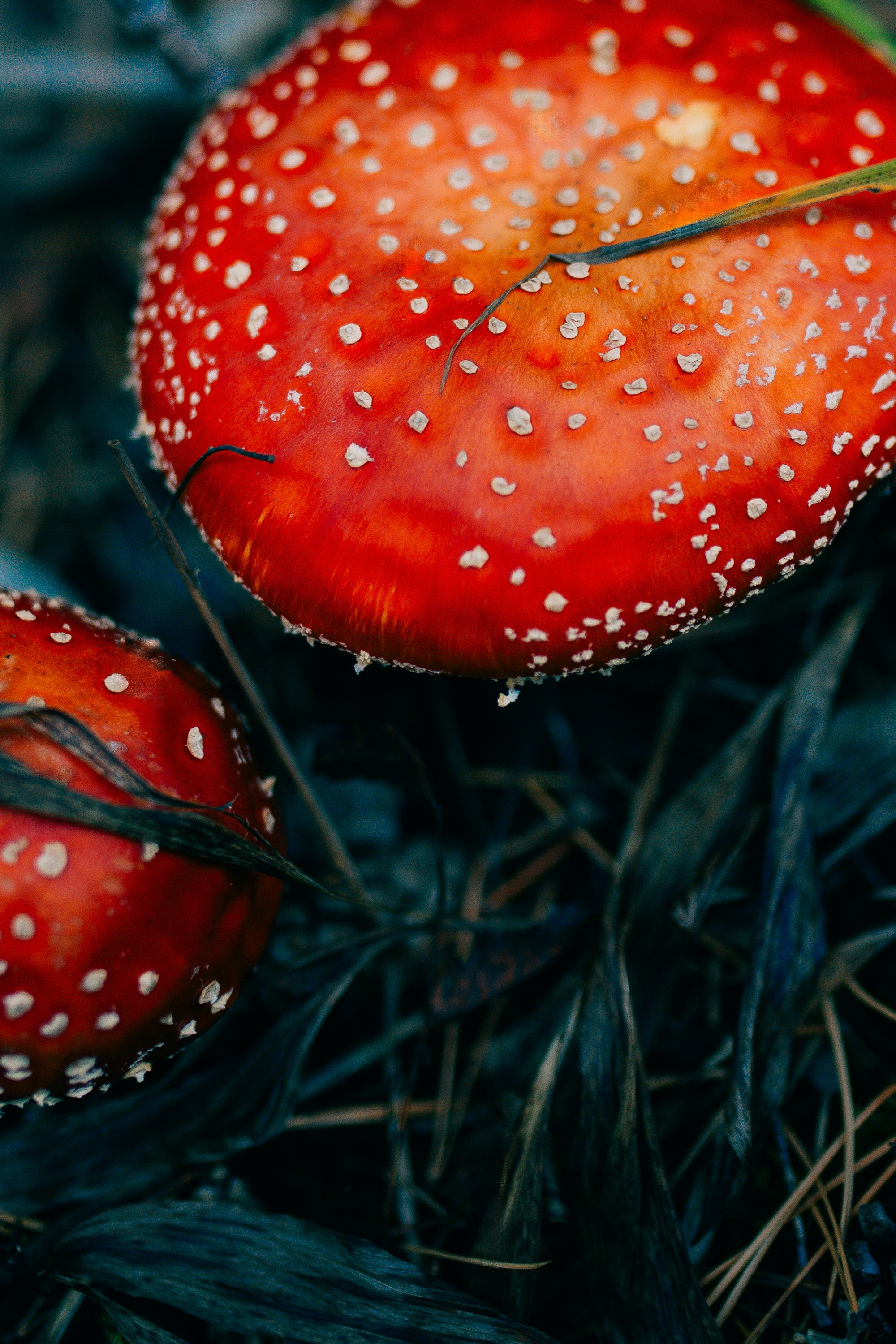 Как мы пошли за третьим. Фотограф Оля Батист