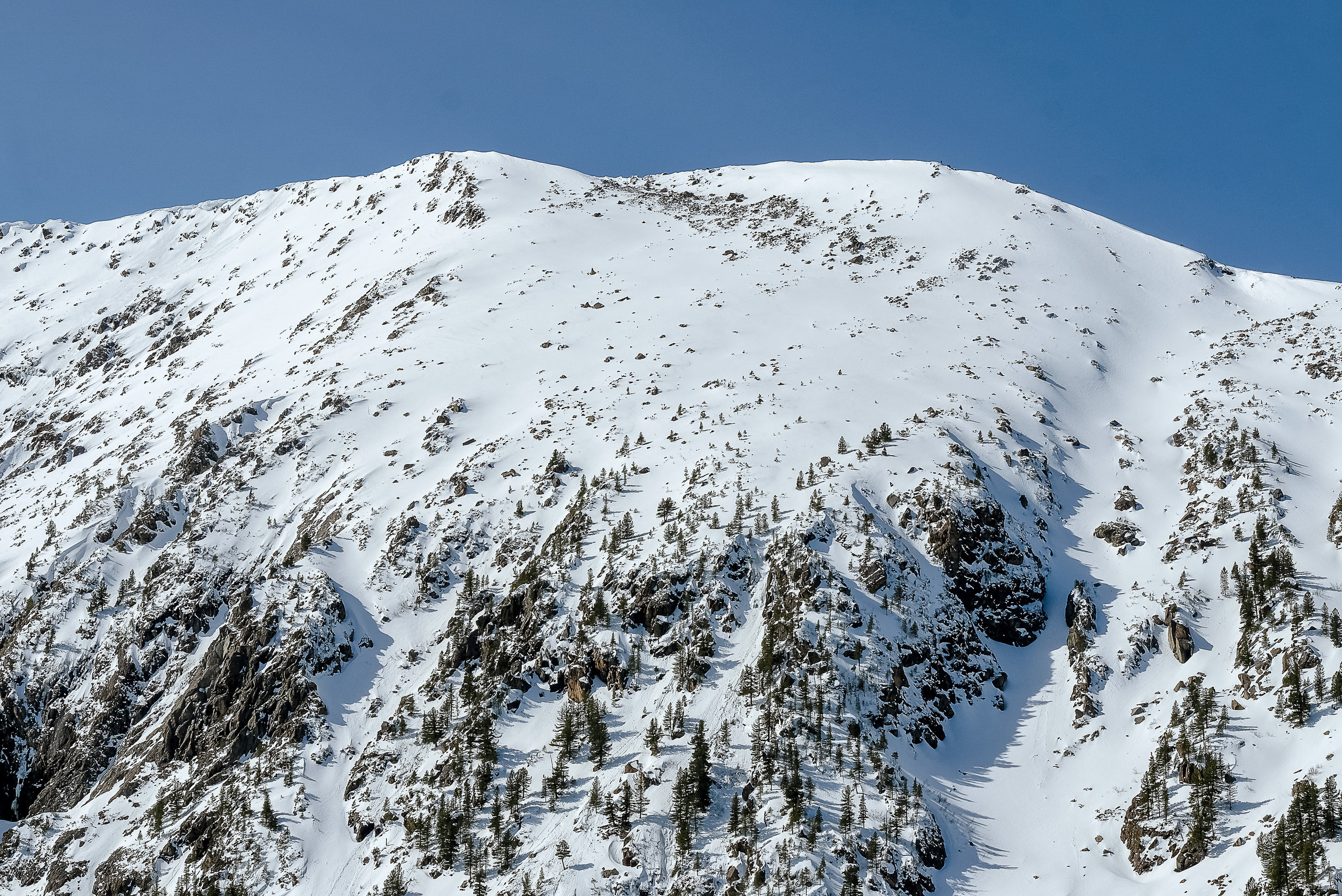 Фотографии Забега на БОРУС от Анны Герман. Фотограф Анна Герман. Красноярск