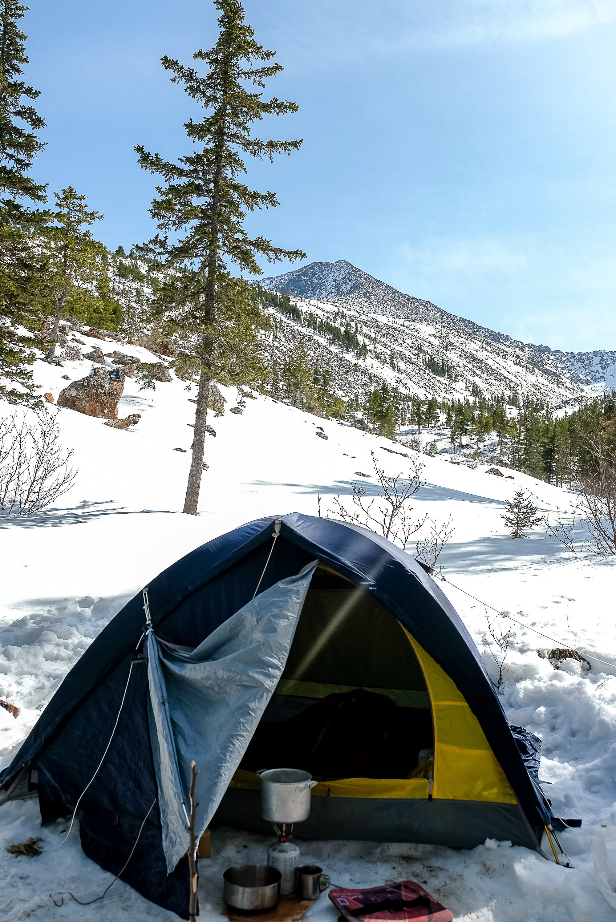 Фотографии Забега на БОРУС от Анны Герман. Фотограф Анна Герман. Красноярск