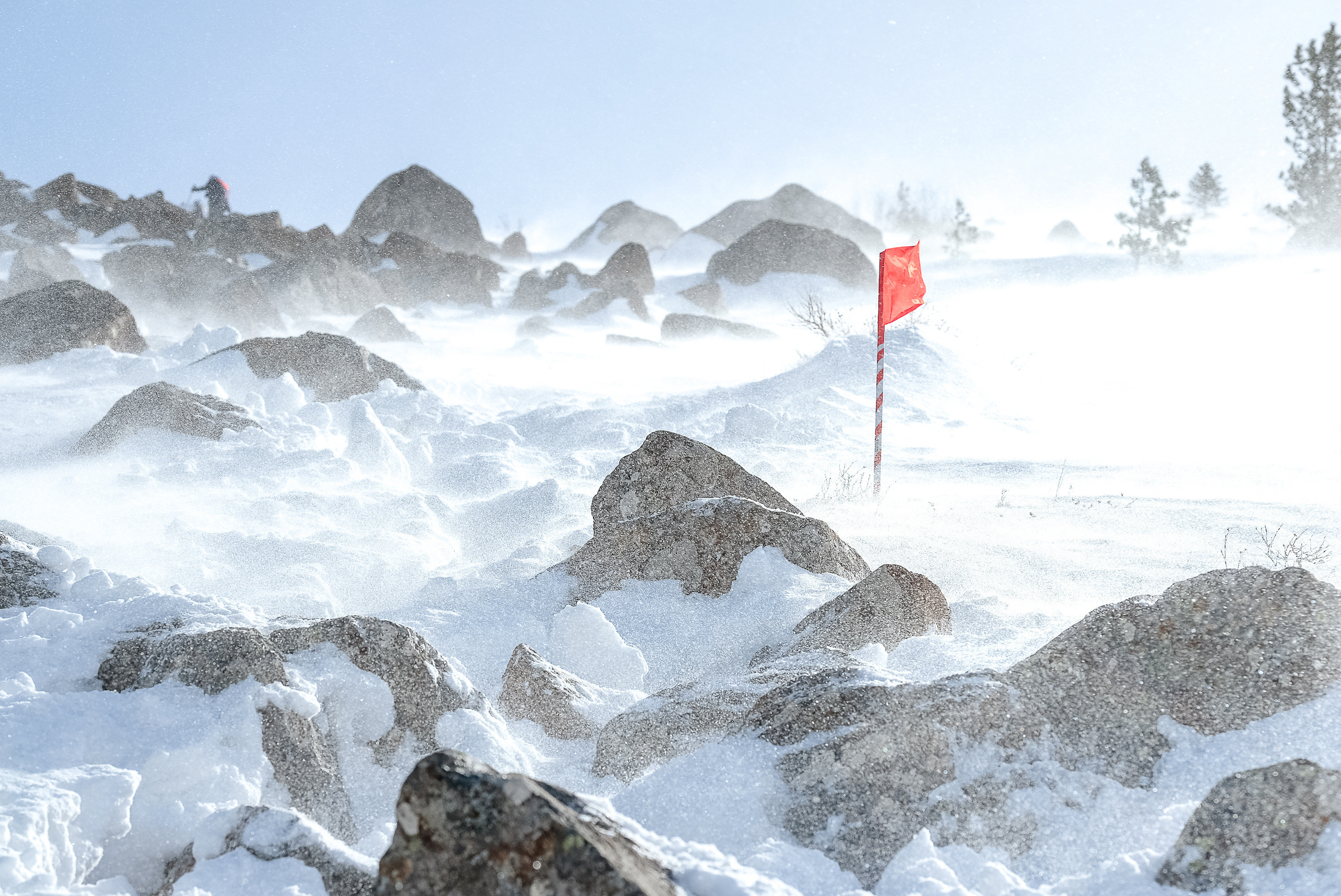 Фотографии Забега на БОРУС от Анны Герман. Фотограф Анна Герман. Красноярск