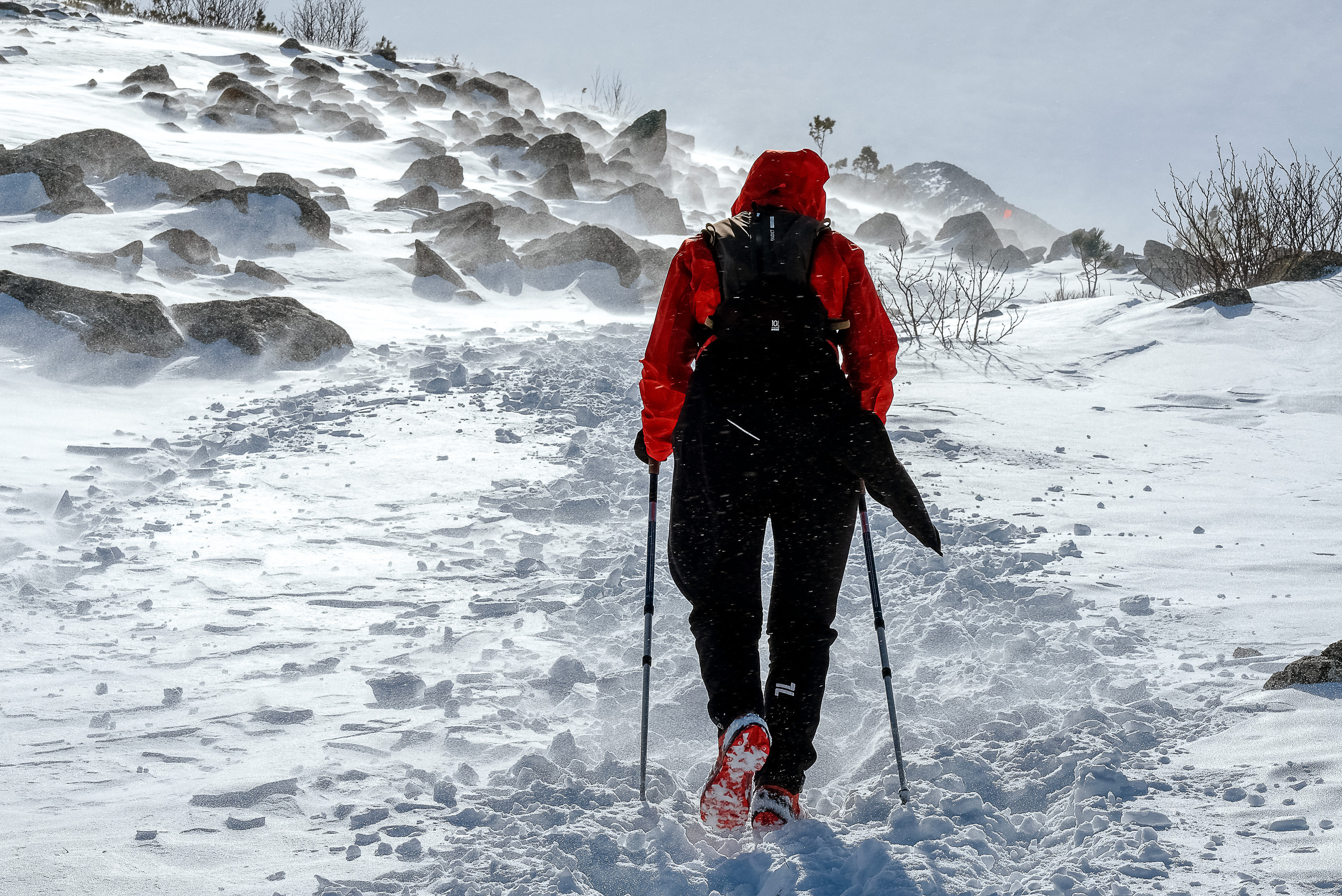Фотографии Забега на БОРУС от Анны Герман. Фотограф Анна Герман. Красноярск