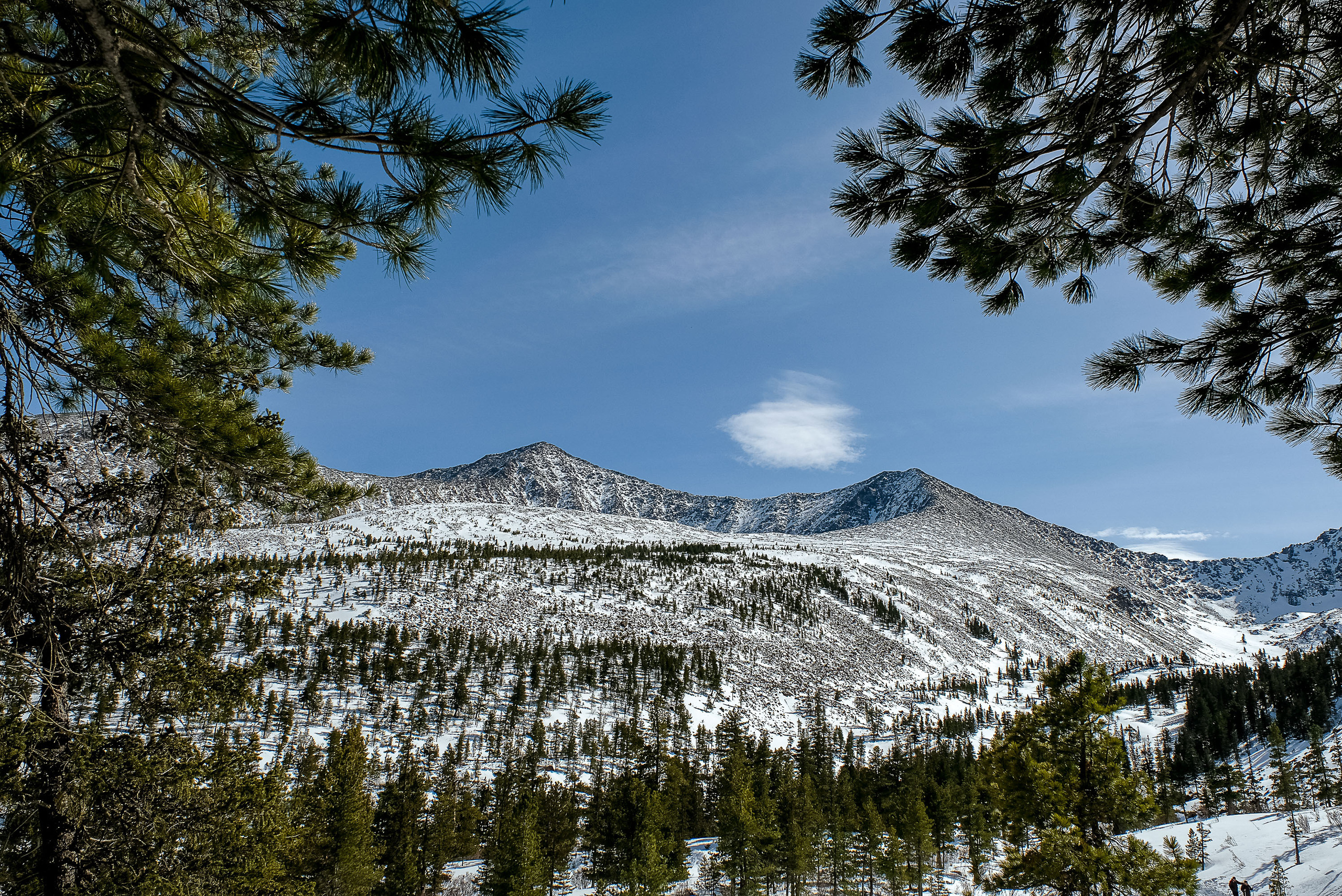 Фотографии Забега на БОРУС от Анны Герман. Фотограф Анна Герман. Красноярск