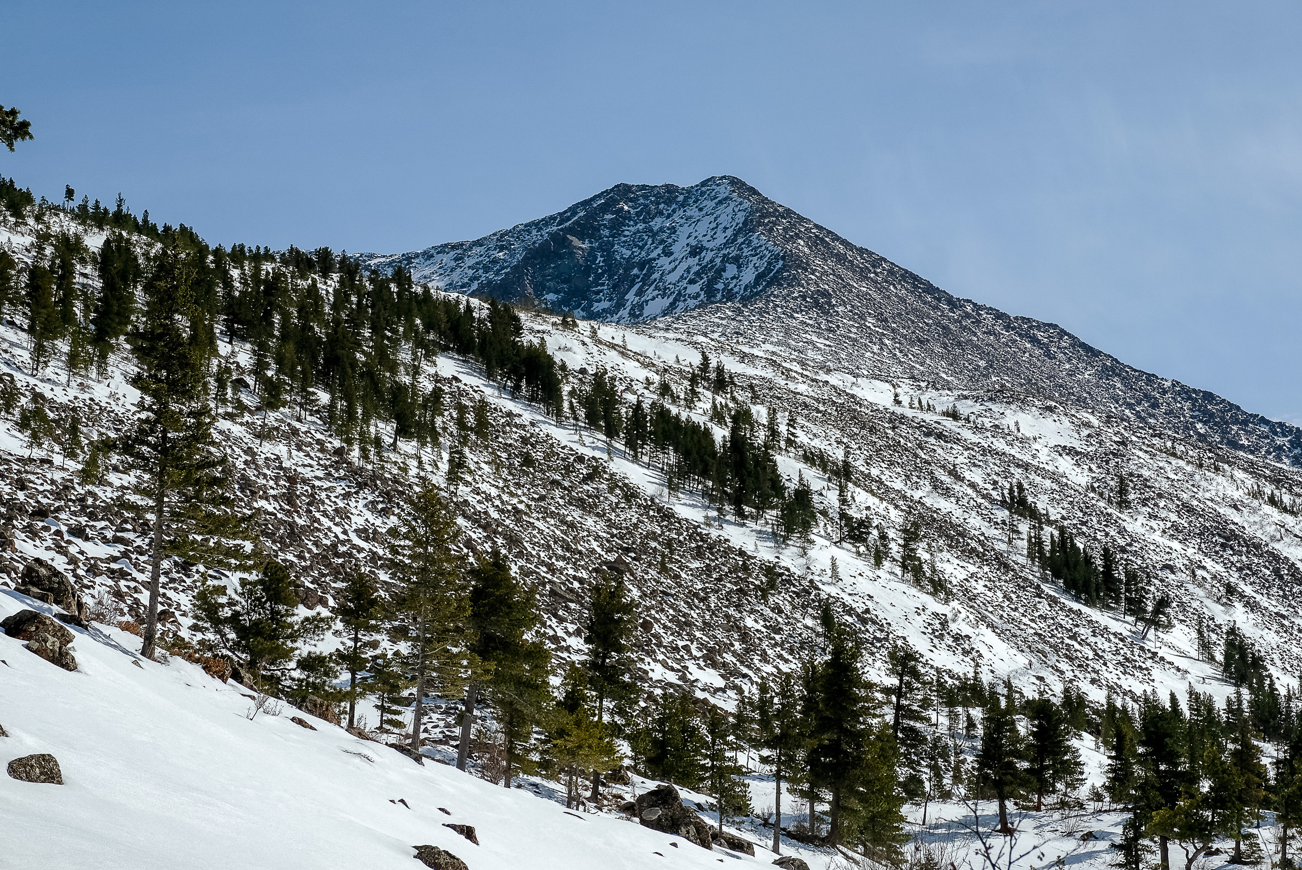 Фотографии Забега на БОРУС от Анны Герман. Фотограф Анна Герман. Красноярск