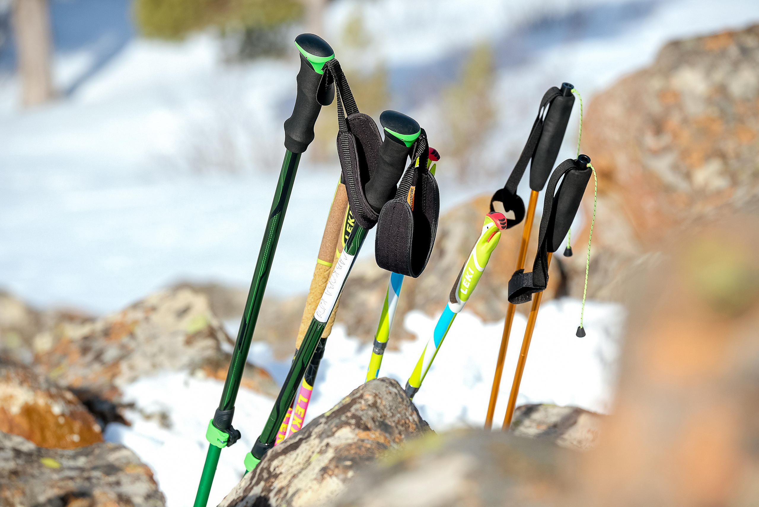 Фотографии Забега на БОРУС от Анны Герман. Фотограф Анна Герман. Красноярск