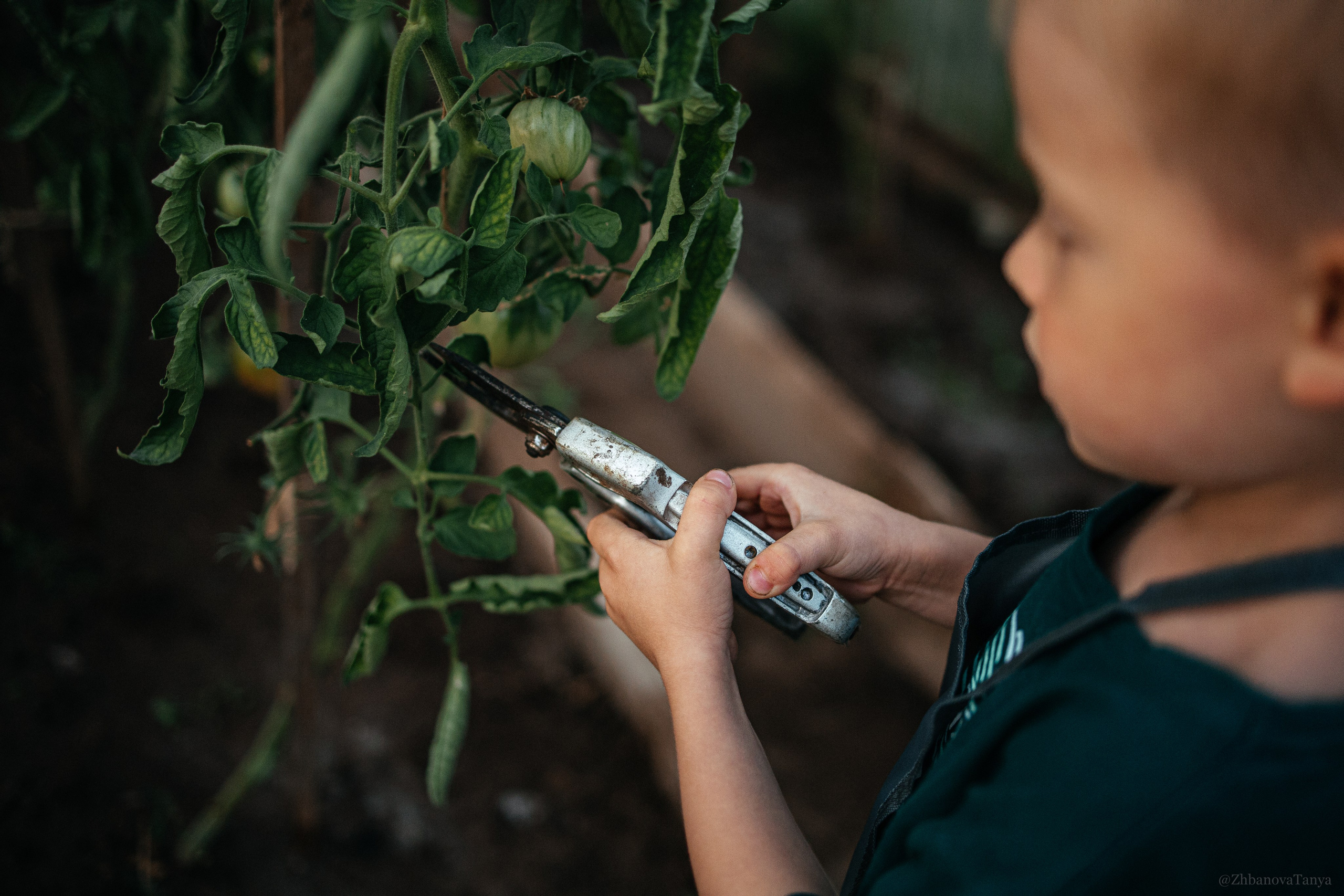 Семья/ беременность/ дети. Фотограф Татьяна Жбанова