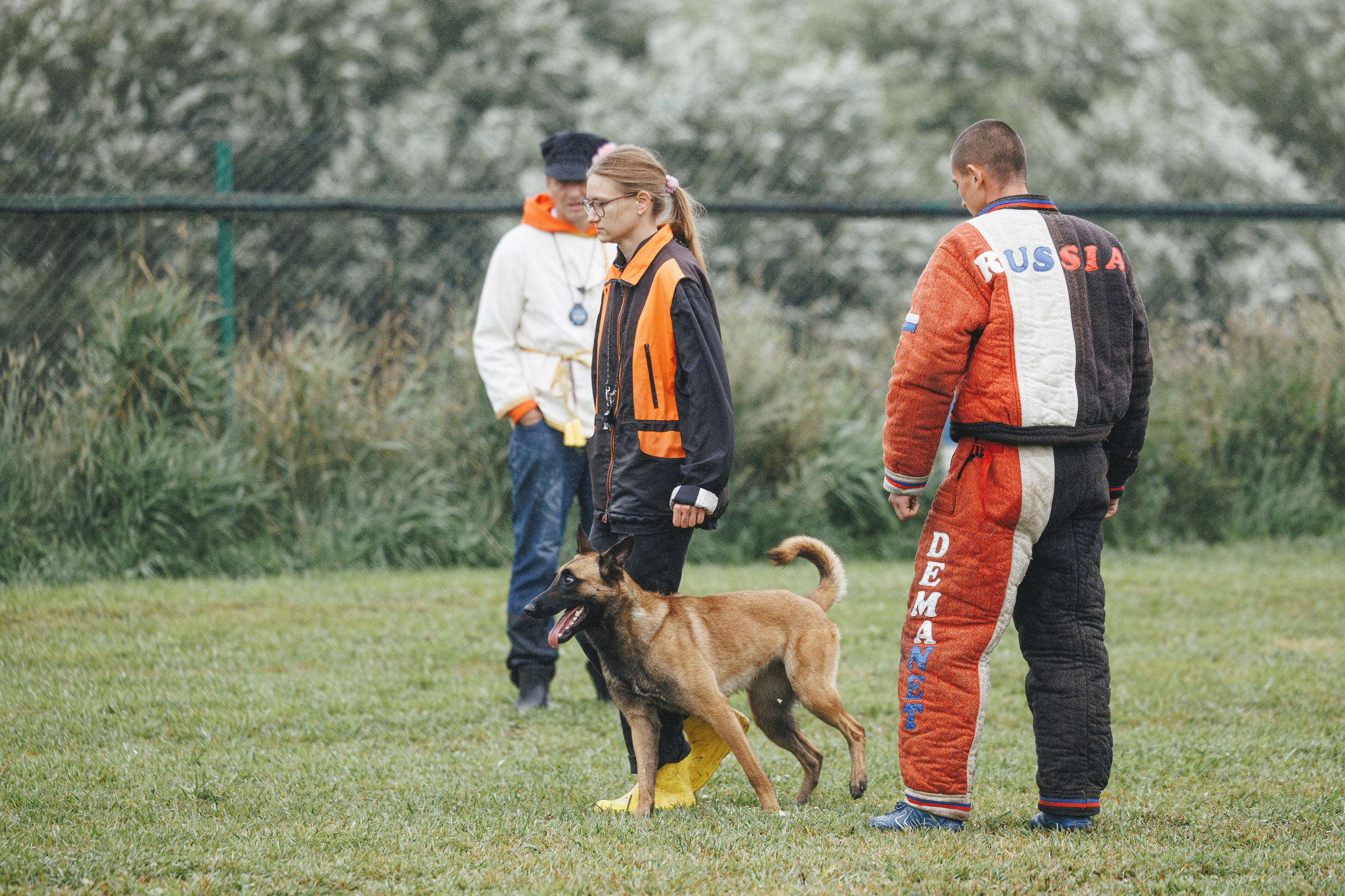 08.08.25-10.08.25 ЧР по мондьорингу г. Вологда. Фотограф-анималист Анна Маринич