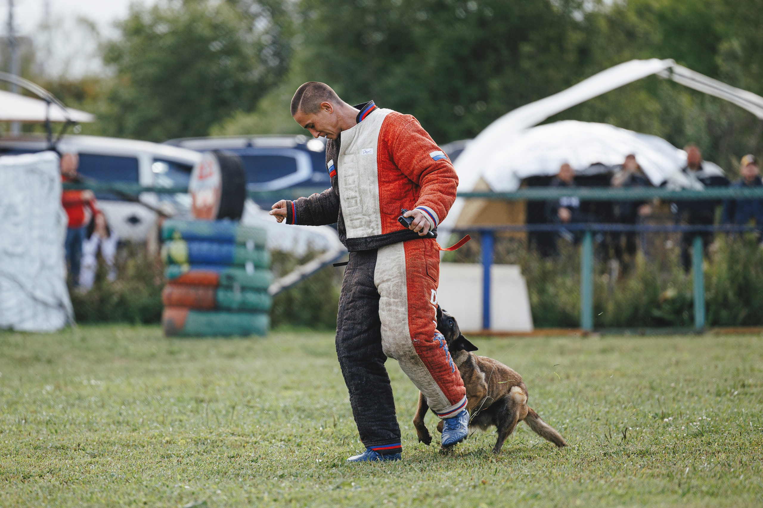 08.08.25-10.08.25 ЧР по мондьорингу г. Вологда. Фотограф-анималист Анна Маринич