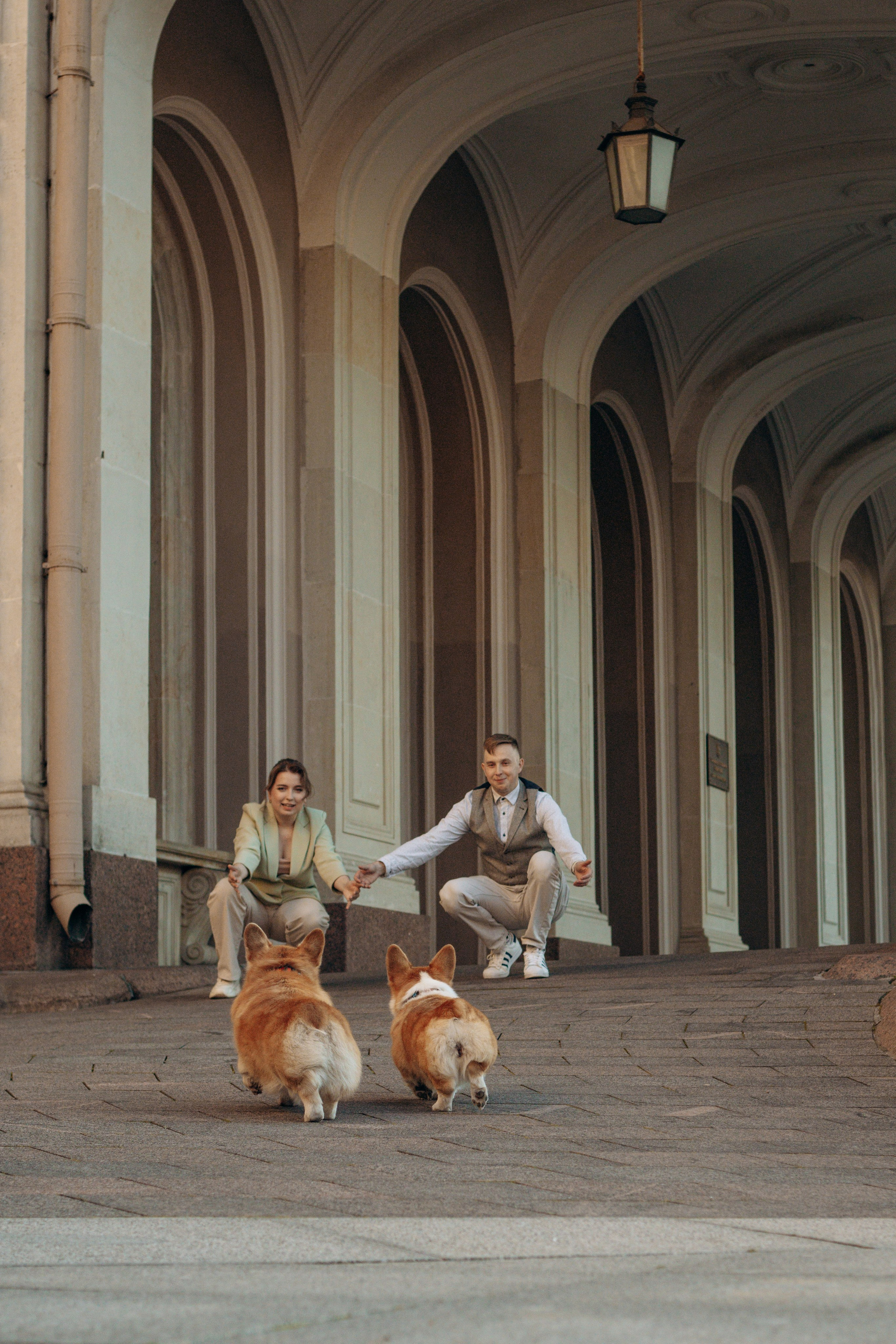 Лиза и Саша, Варди и Челси. Фотограф-анималист в Санкт-Петербурге