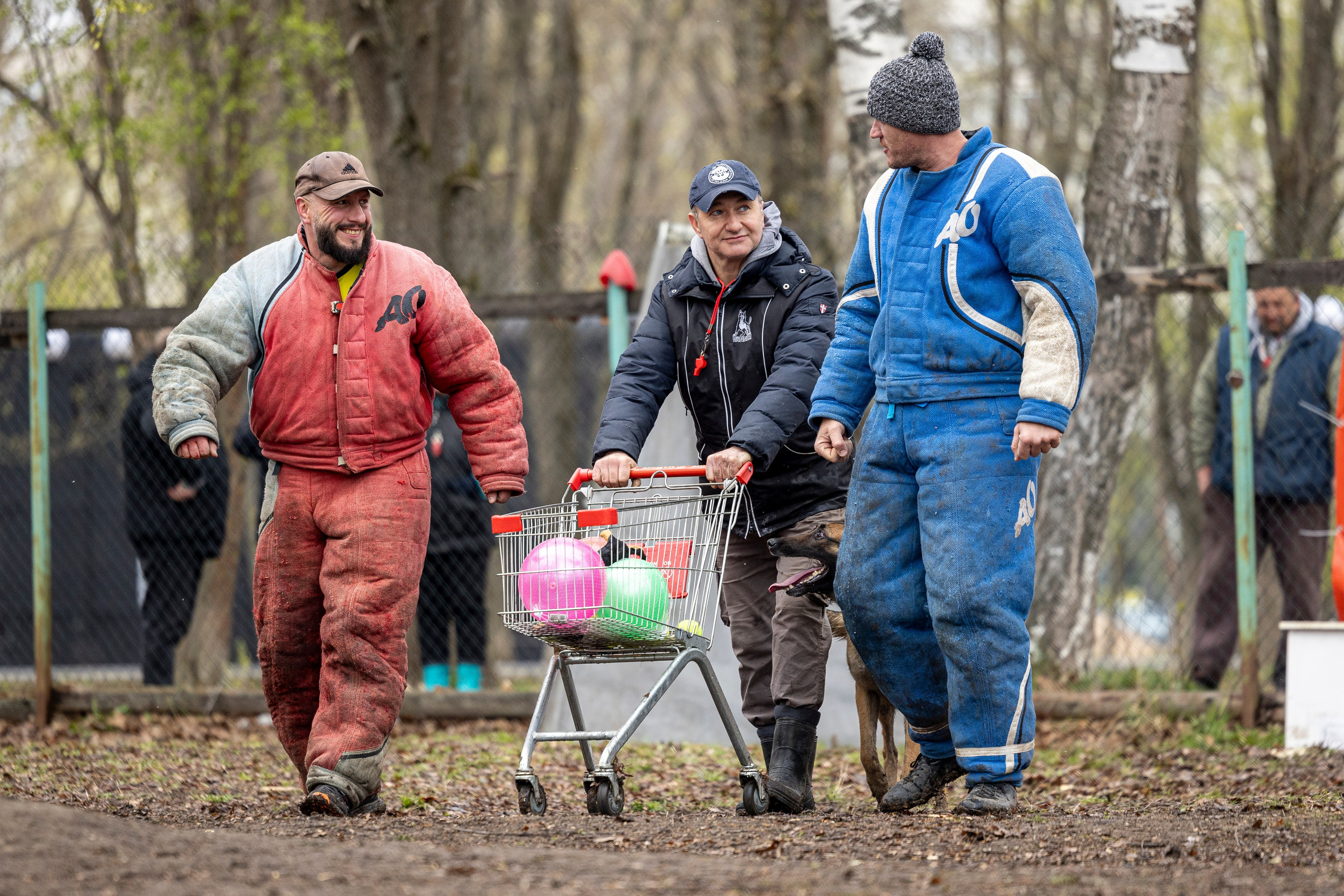 Квалификационные состязания по мондьорингу г. Вологда 11.05.24. Фотограф-анималист Анна Маринич