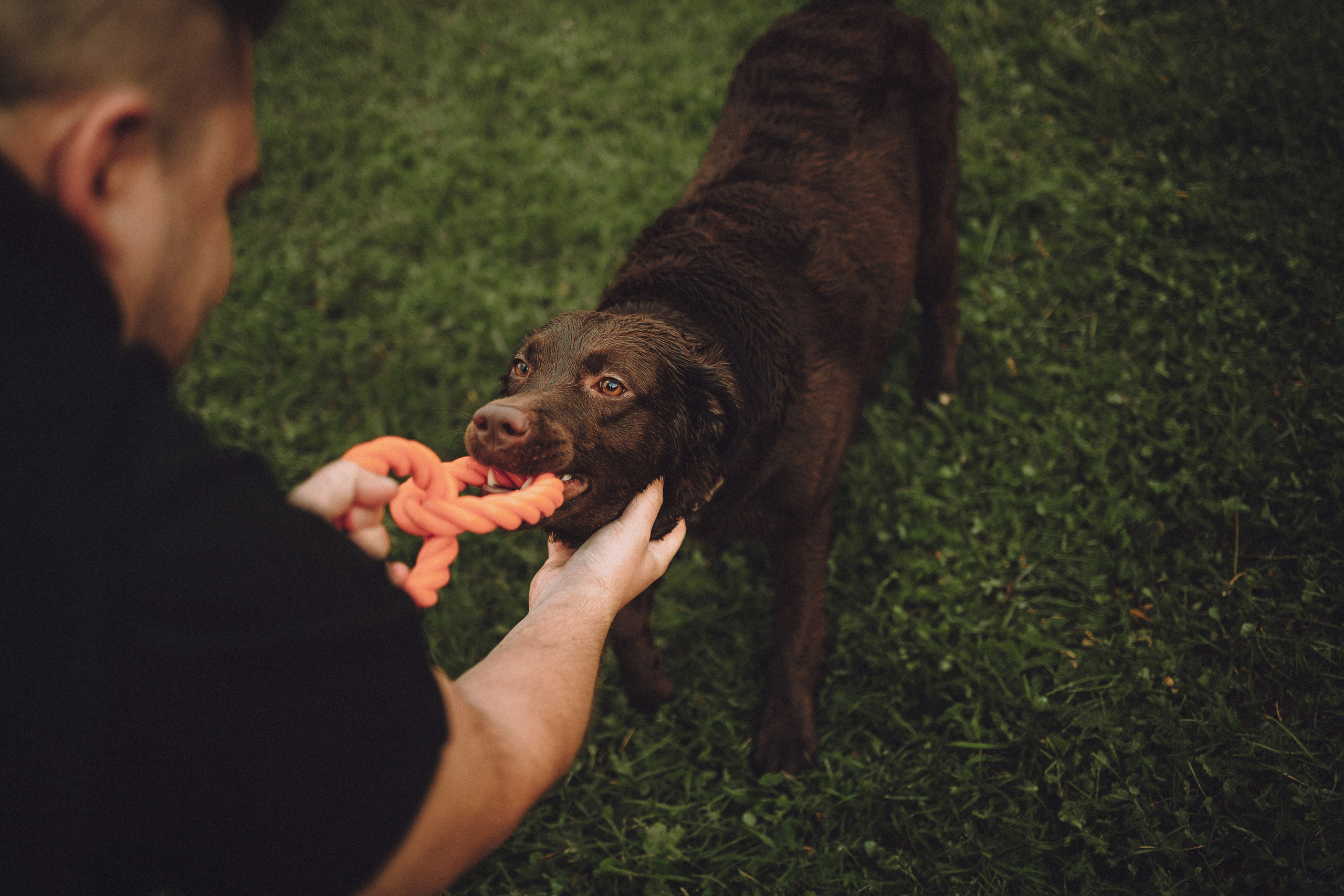 Катя, Ваня и Джеси