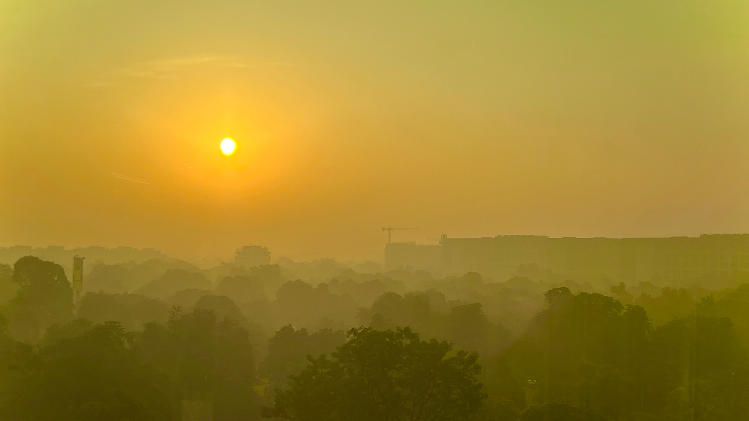 Индия. Телеоператор Ильнур Таминдаров — видеосъемка, документальные фильмы, интервью в Москве