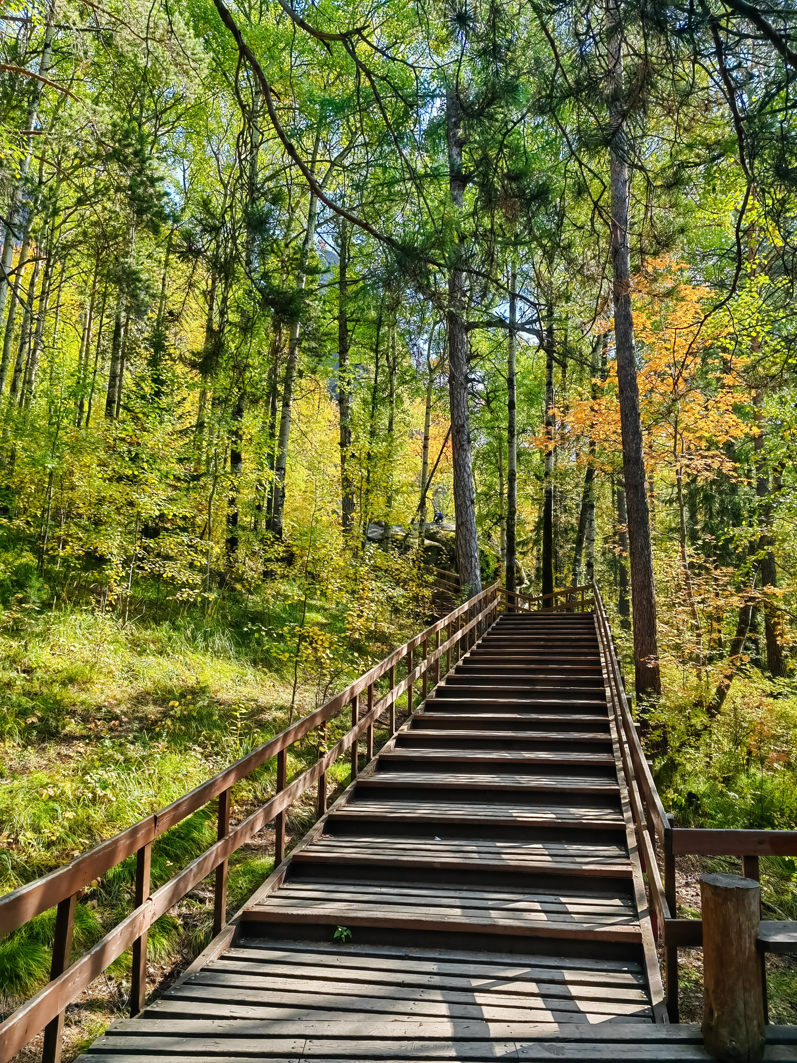 Экскурсия национальный парк заповедник Красноярские столбы цена заказать забронировать фото тур интересные места достопримечательности что посмотреть где побывать в Красноярске  Туристический маршрут центральные столбы скала Перья Дед Львиные ворота первый второй столб Фотосессия фотограф Красноярск природа пейзаж аэросъёмка с FPV дрона квадрокоптера