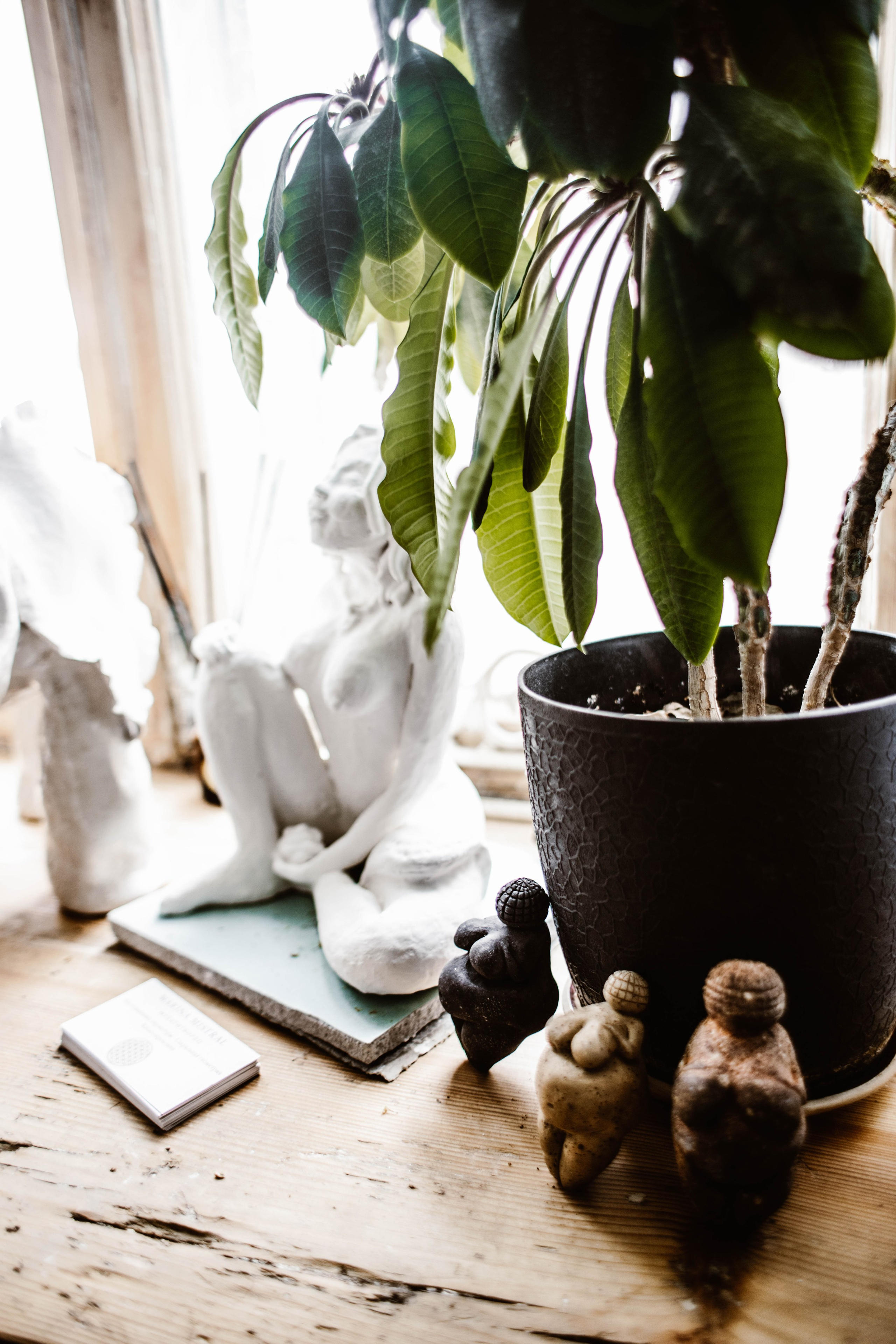 Марина Мистраль. Фотограф в Нижнем Новгороде