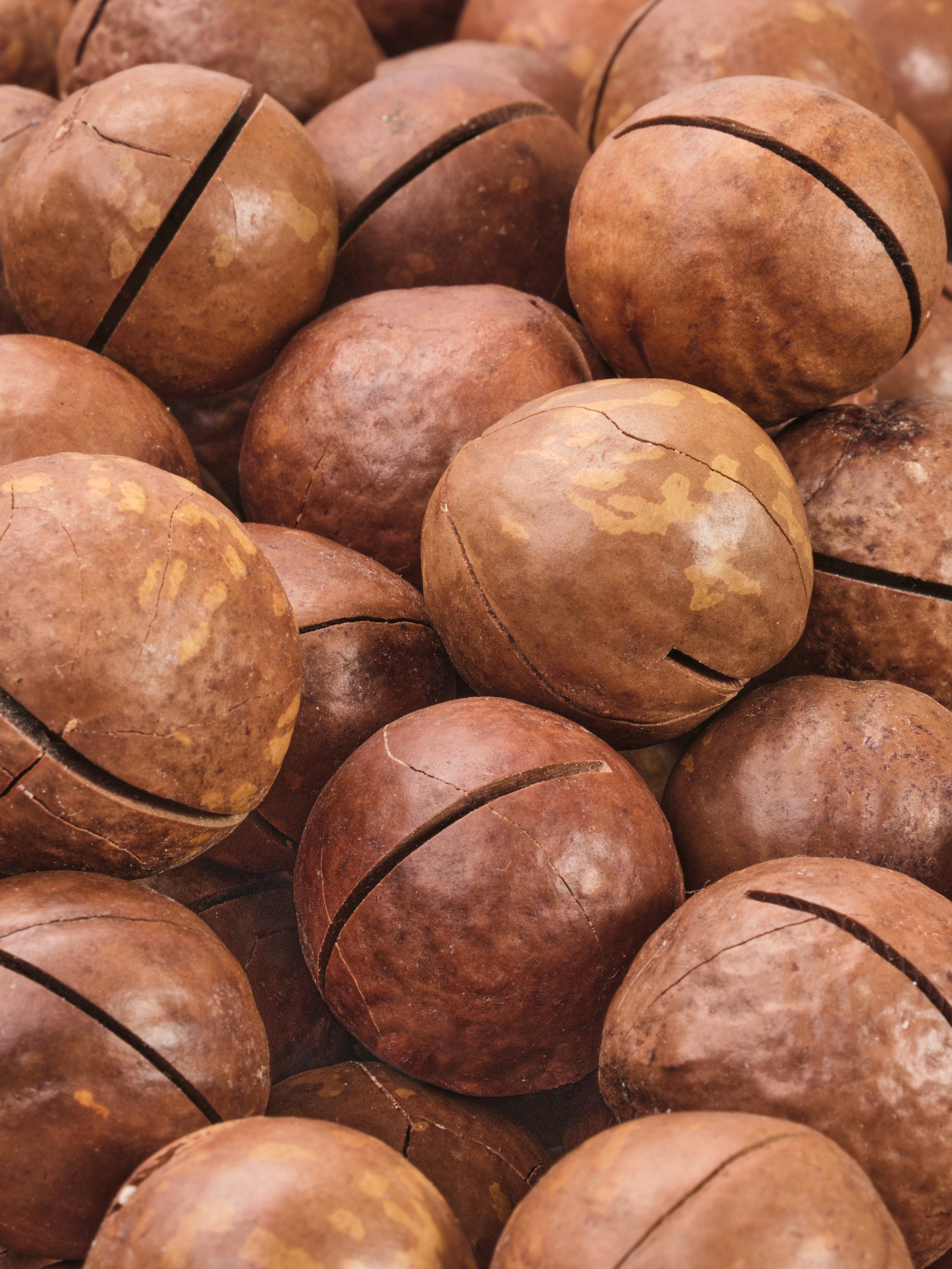 Фотоальбом с избранными предметными съёмками