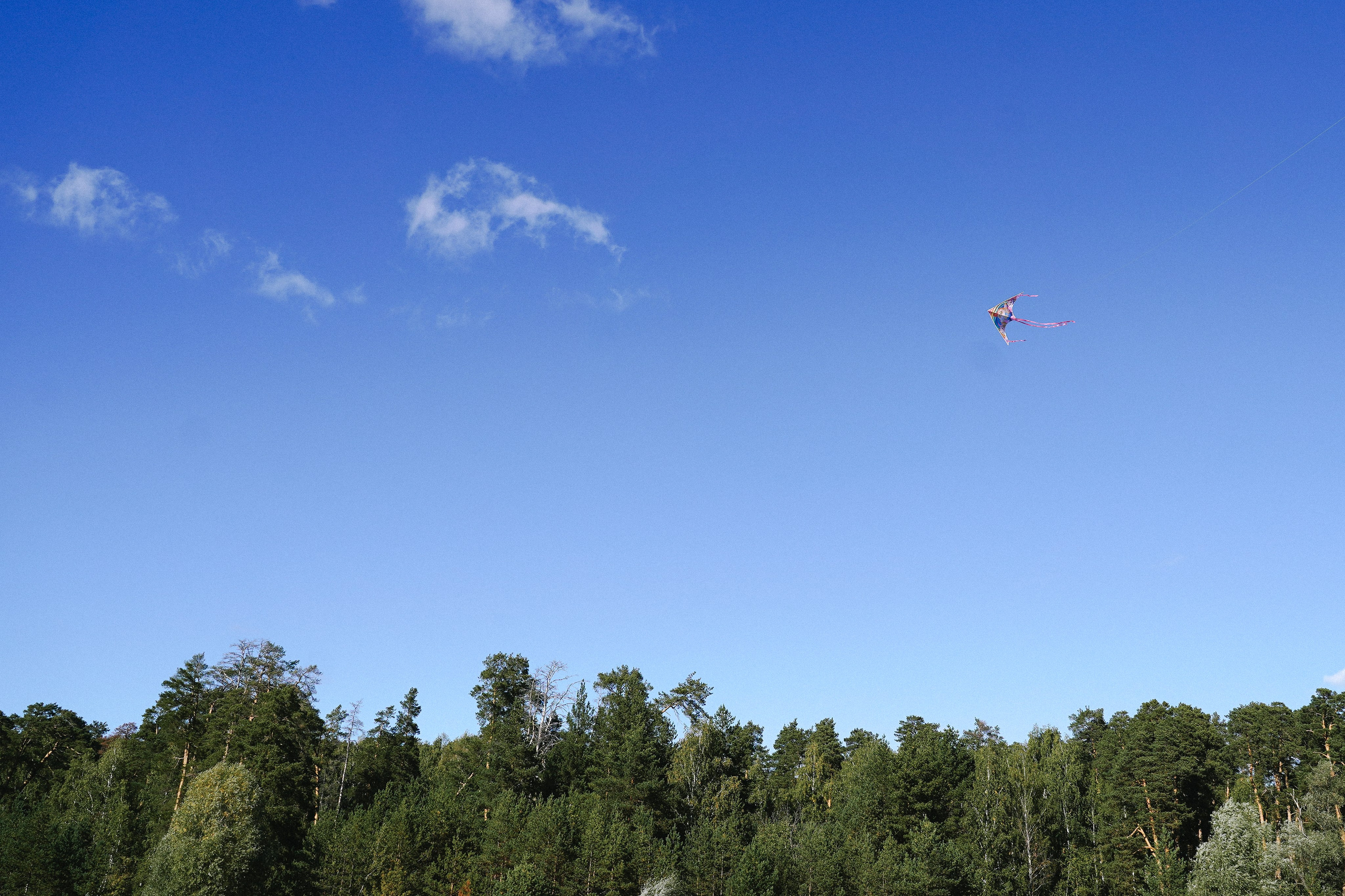 ПАПА + ДОЧЬ. Фотограф Алина Кудри