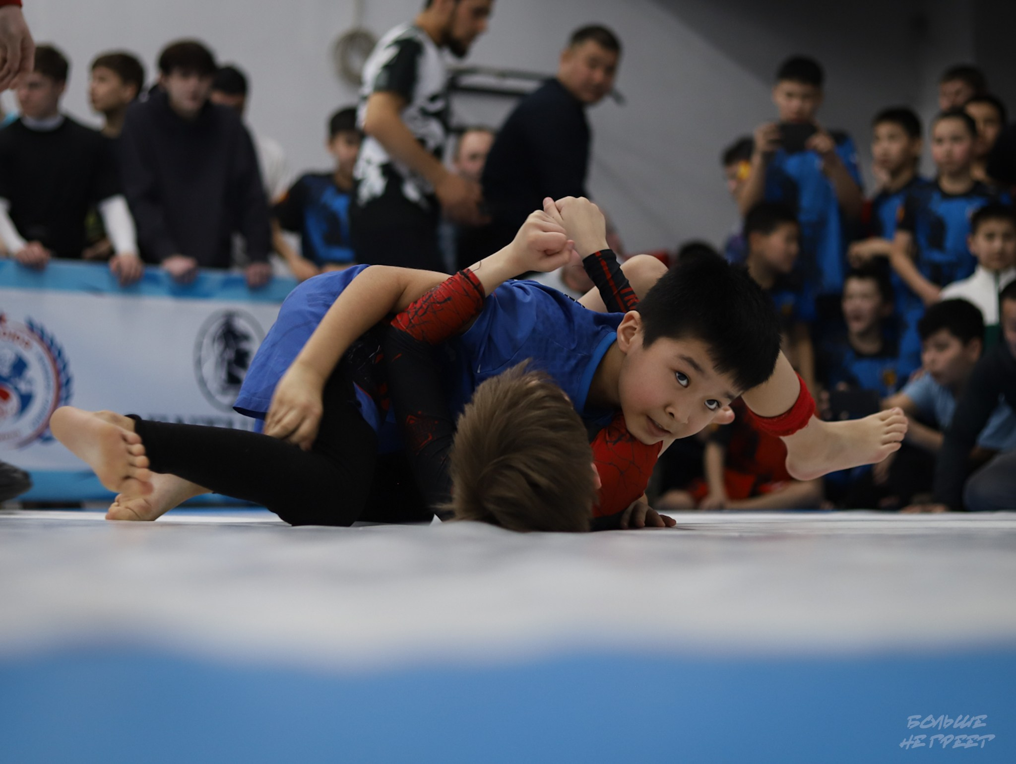 GORILLA PRIDE CUP. Больше не греет