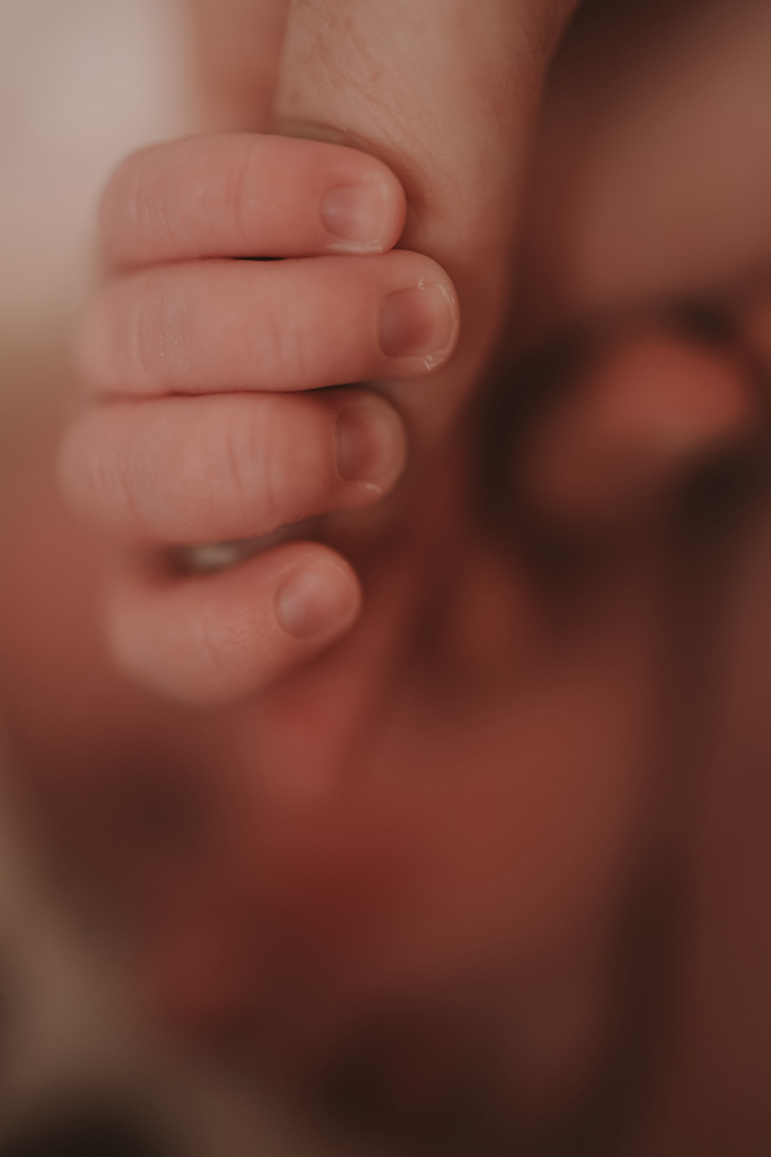 Ефим, 2 недели. Семейный фотограф Тюмень, фотограф на роды Салмина Мария