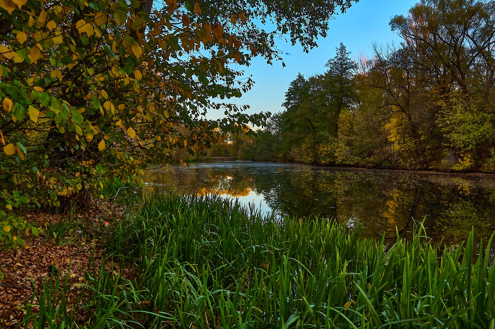 Искусство пейзажа: гармония природы в фотографиях. Координаты красоты — география в фокусе
