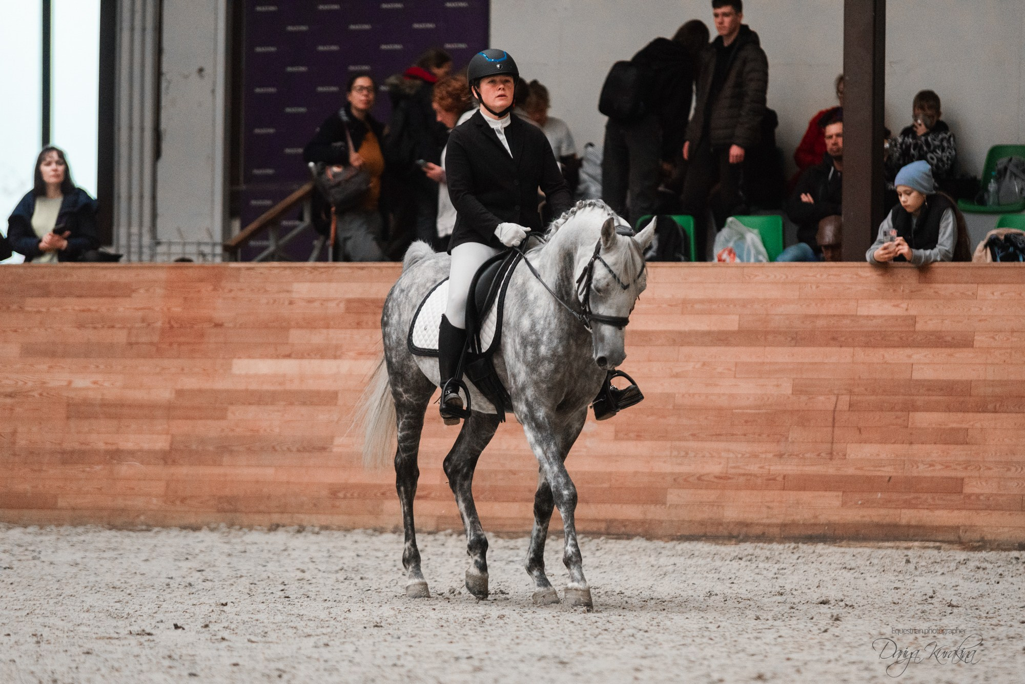 8-я международная выставка Конная Россия. Конный фотограф Куракина Дарья • Фотосессии с лошадьми