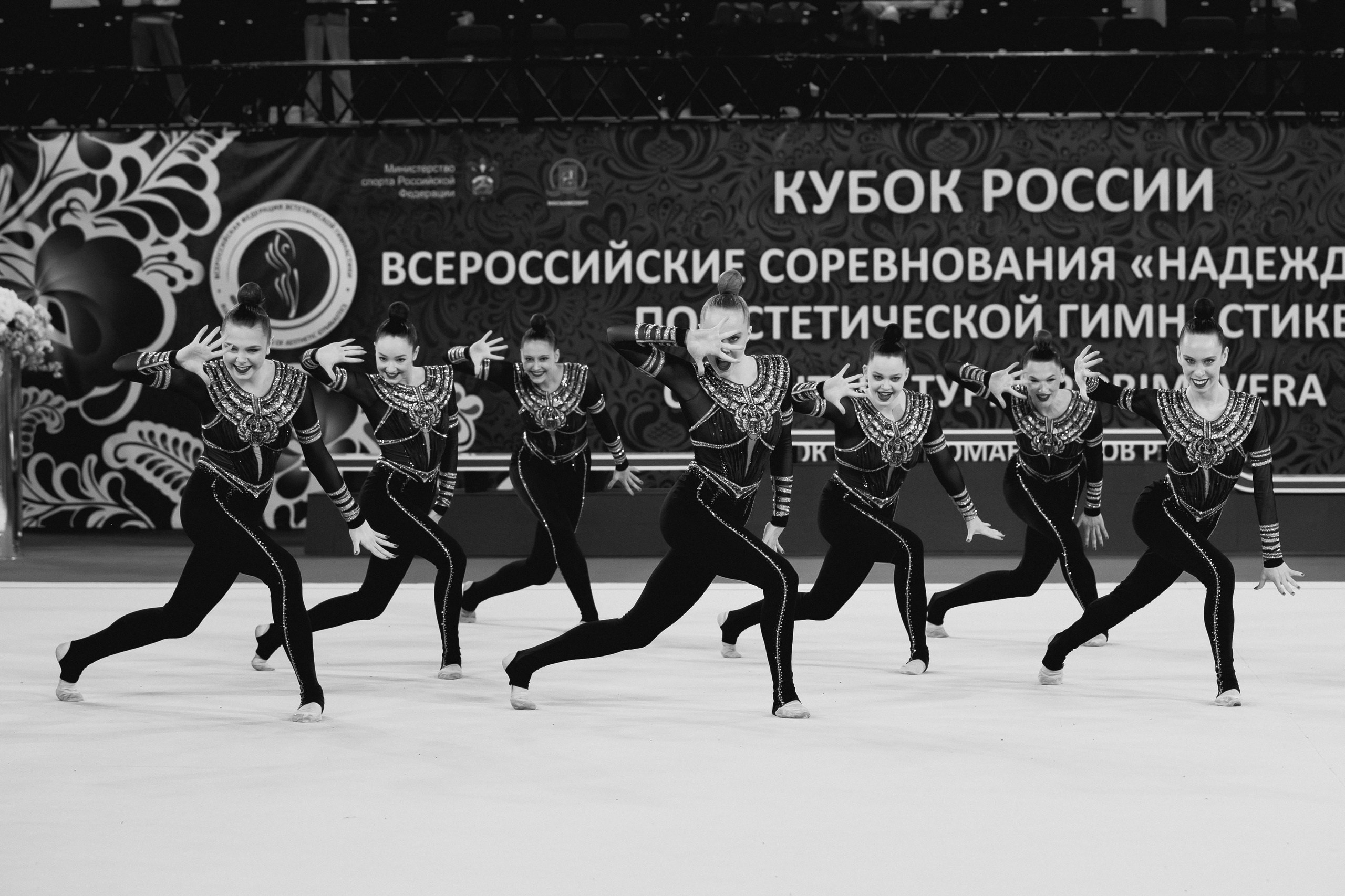 Кубок России по эстетической гимнастике 2025. Москва. Спортивный фотограф Александр Васильев. RG и AGG