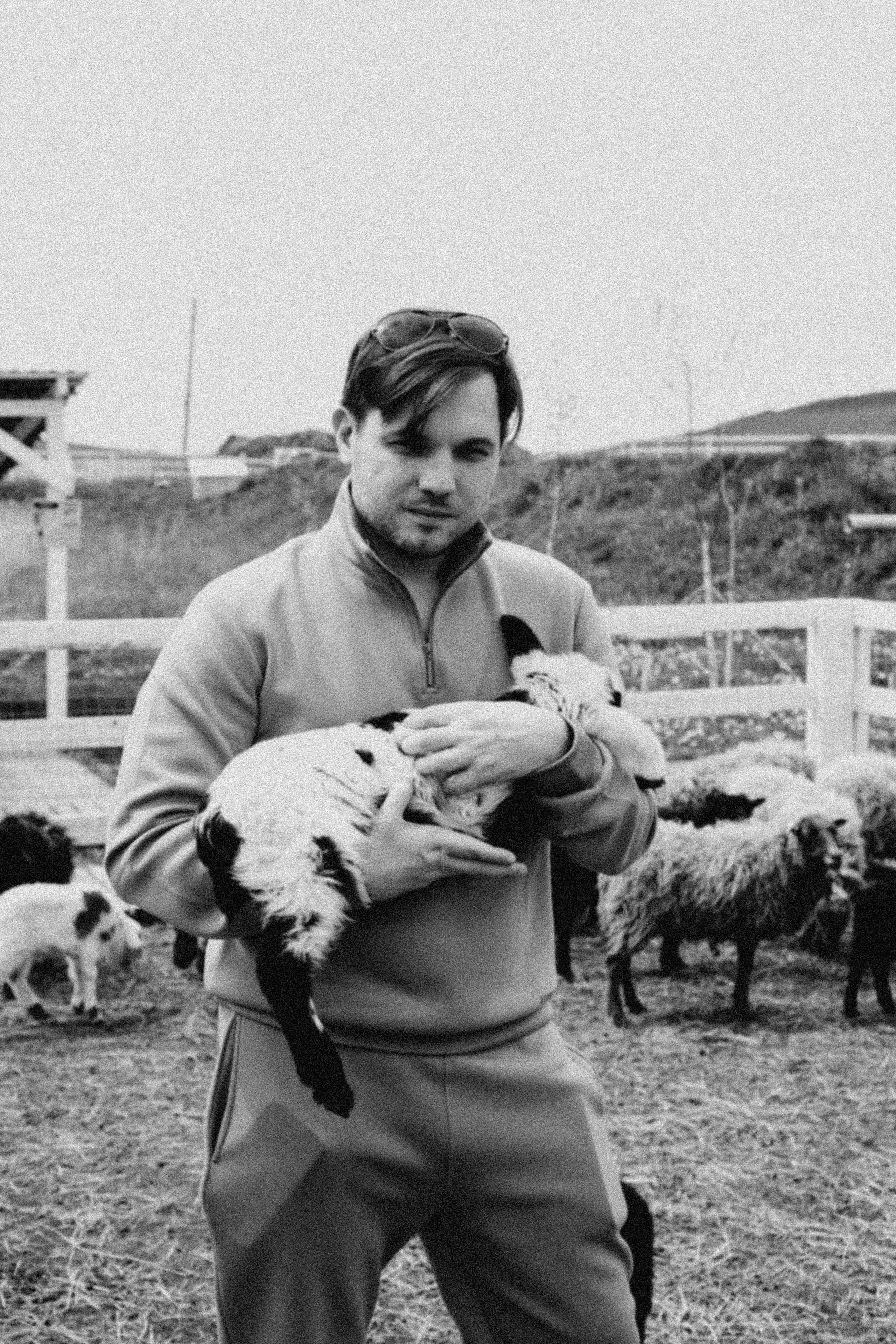 Ферма Альпак. Профессиональный фотограф, Санкт-Петербург — Виктория Богомолова