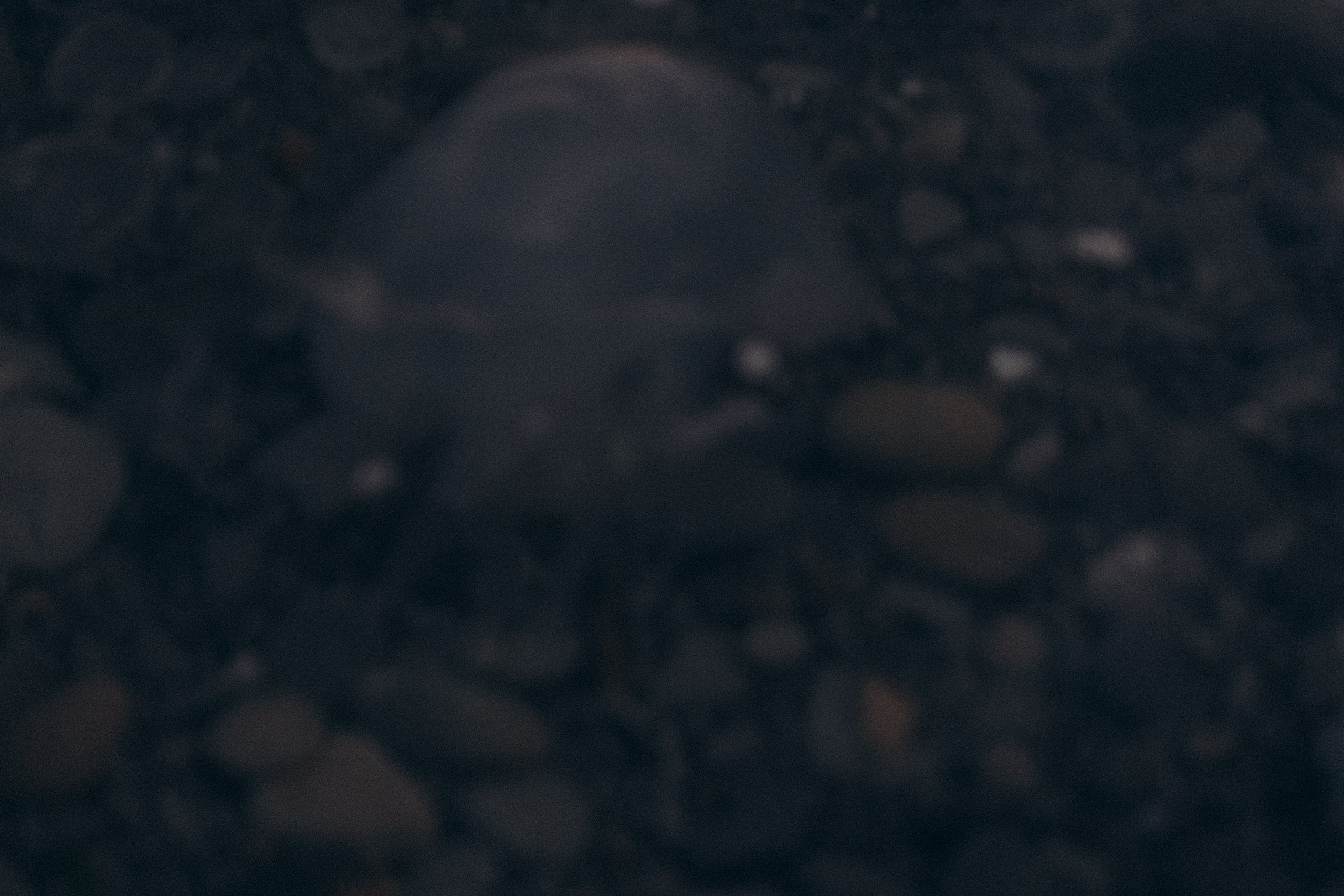 Вечерняя прогулка по Анапе. Профессиональный фотограф, Санкт-Петербург — Виктория Богомолова