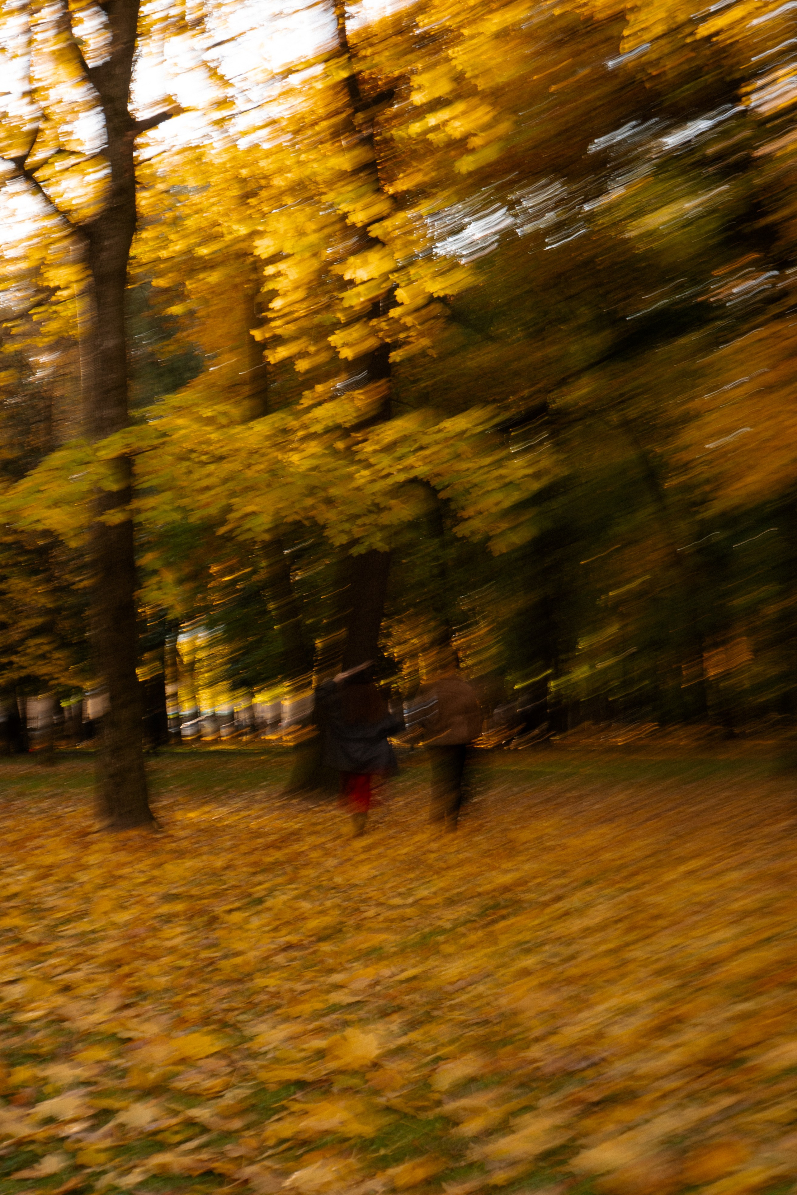 ОСЕННЯЯ ПРОГУЛКА. Профессиональный фотограф, Санкт-Петербург — Виктория Богомолова