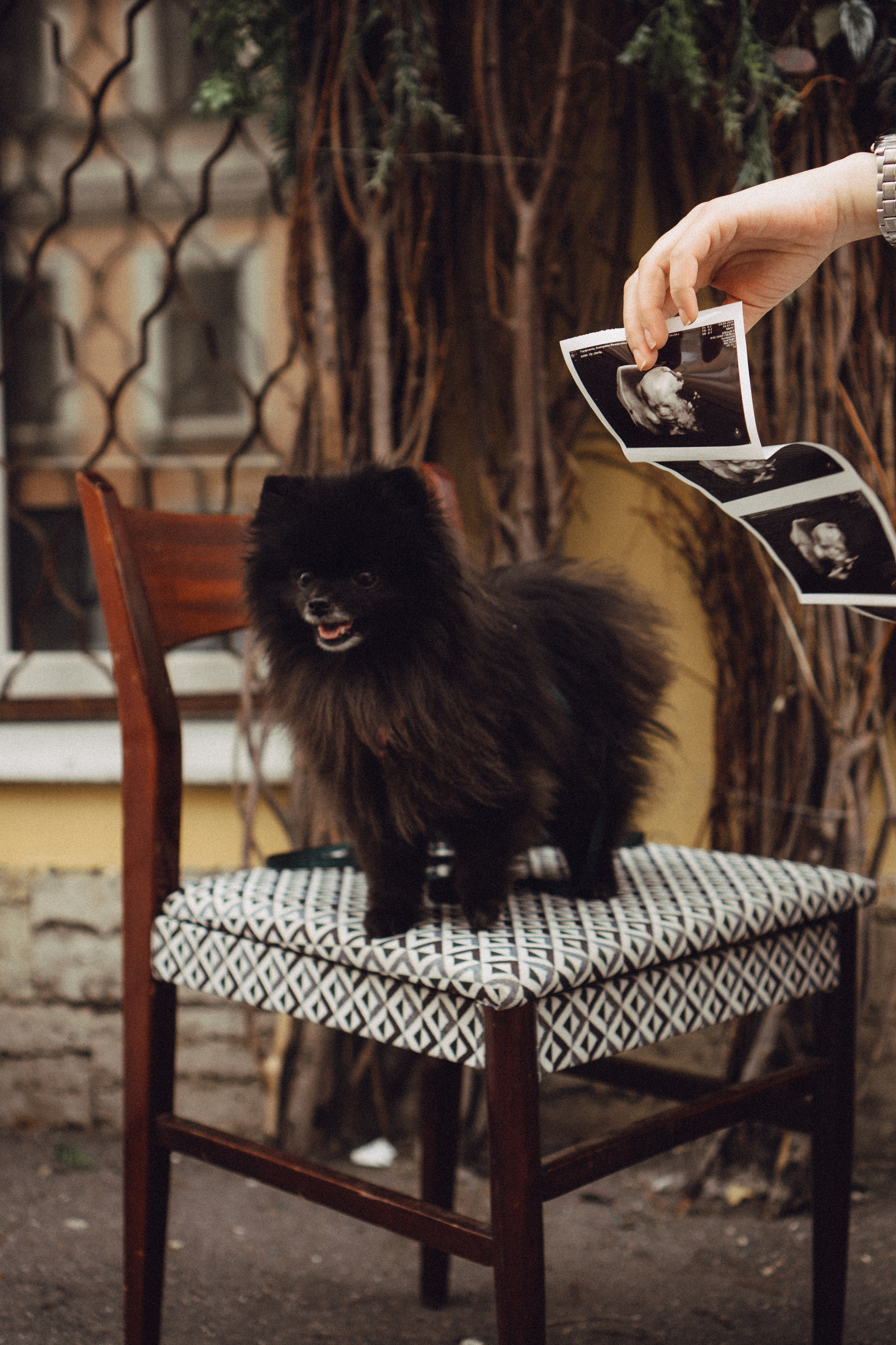 Беременность (только часть фото по желанию клиентов могу показать)). Профессиональный фотограф, Санкт-Петербург — Виктория Богомолова