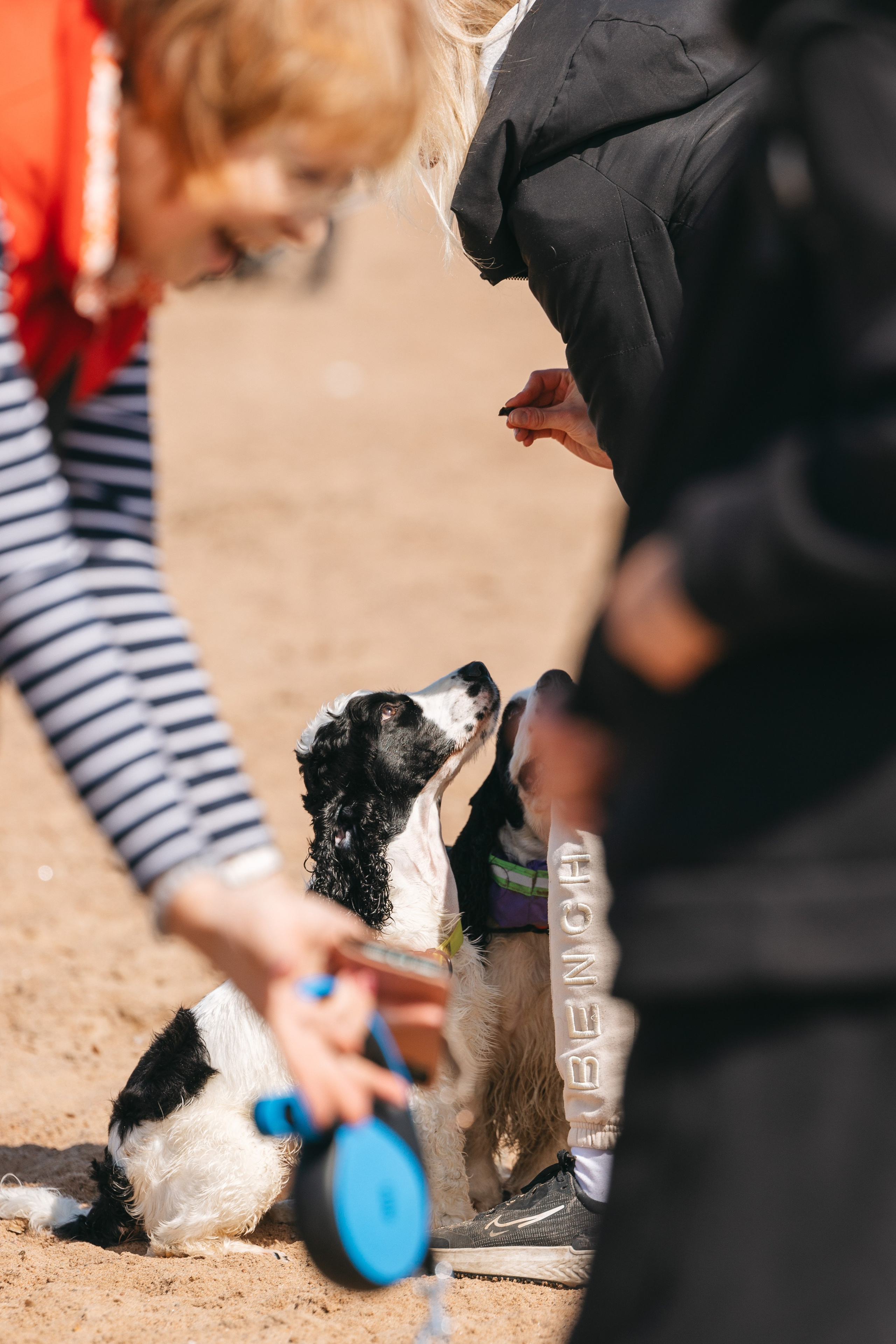 Спанимания. Фотограф анималист Осипчикова Мария