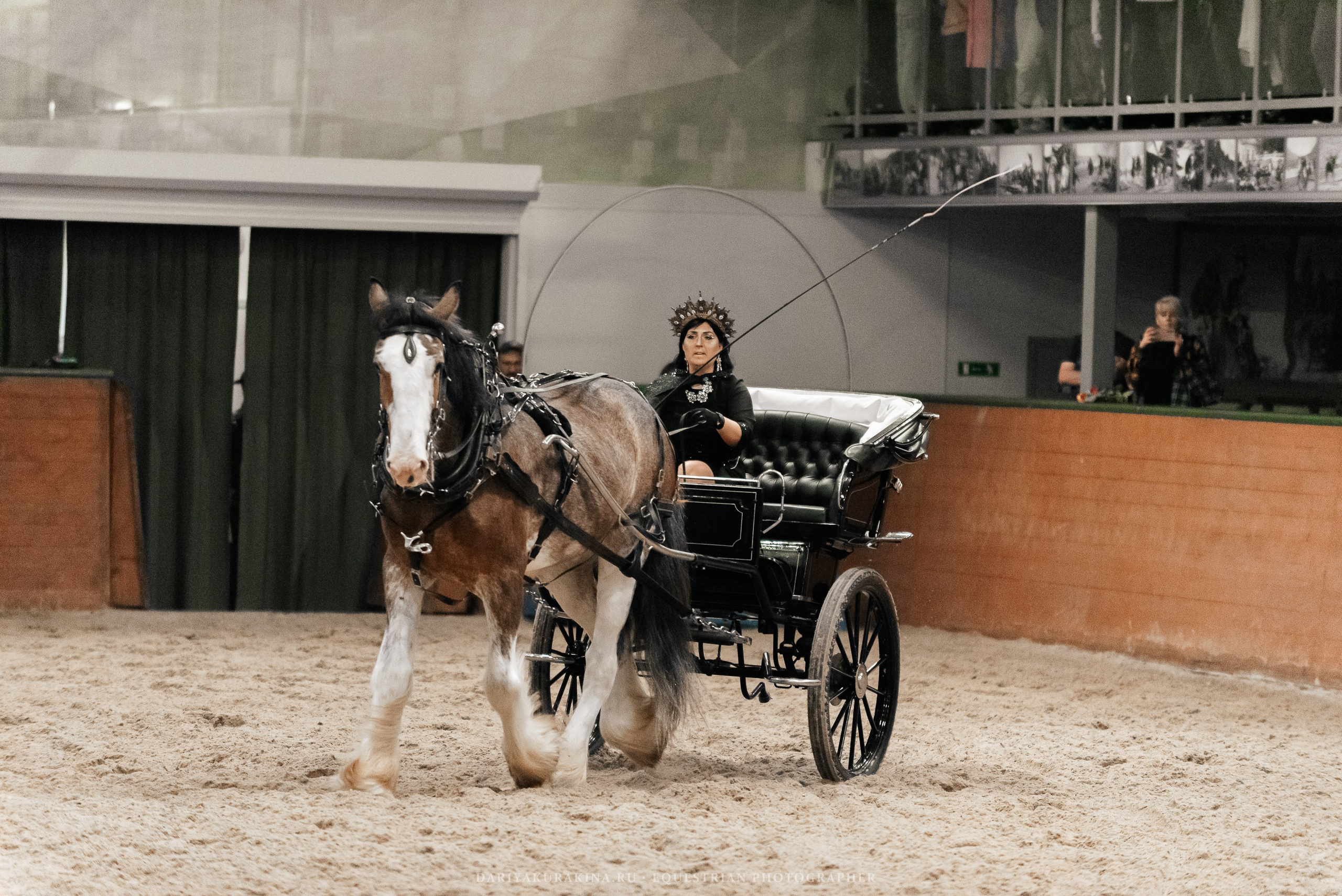 Конное представление «Дыхание Звёзд». Конный фотограф Куракина Дарья • Фотосессии с лошадьми