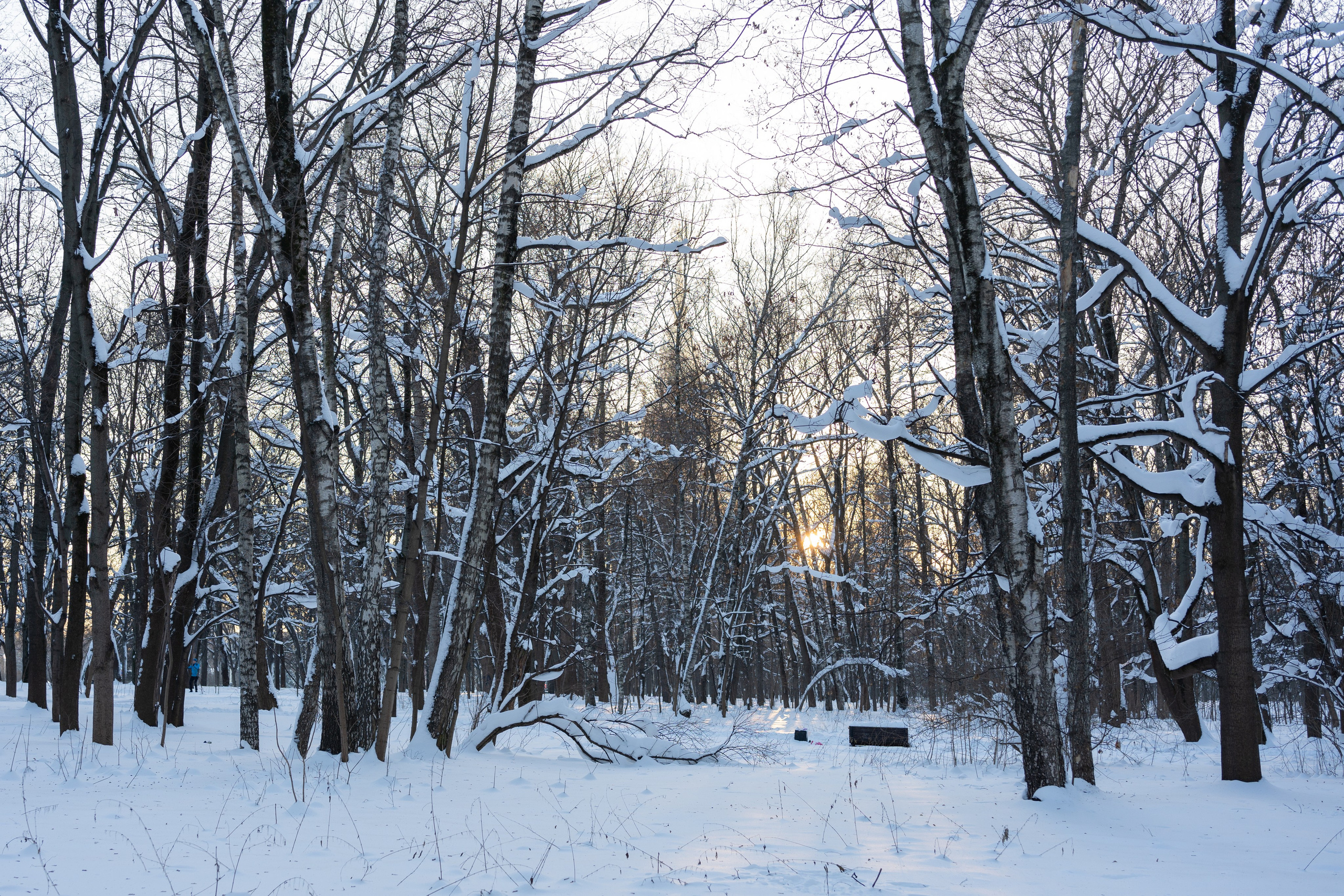 20260118 МГУ. Дмитрий Ремизов. Фотография, как хобби