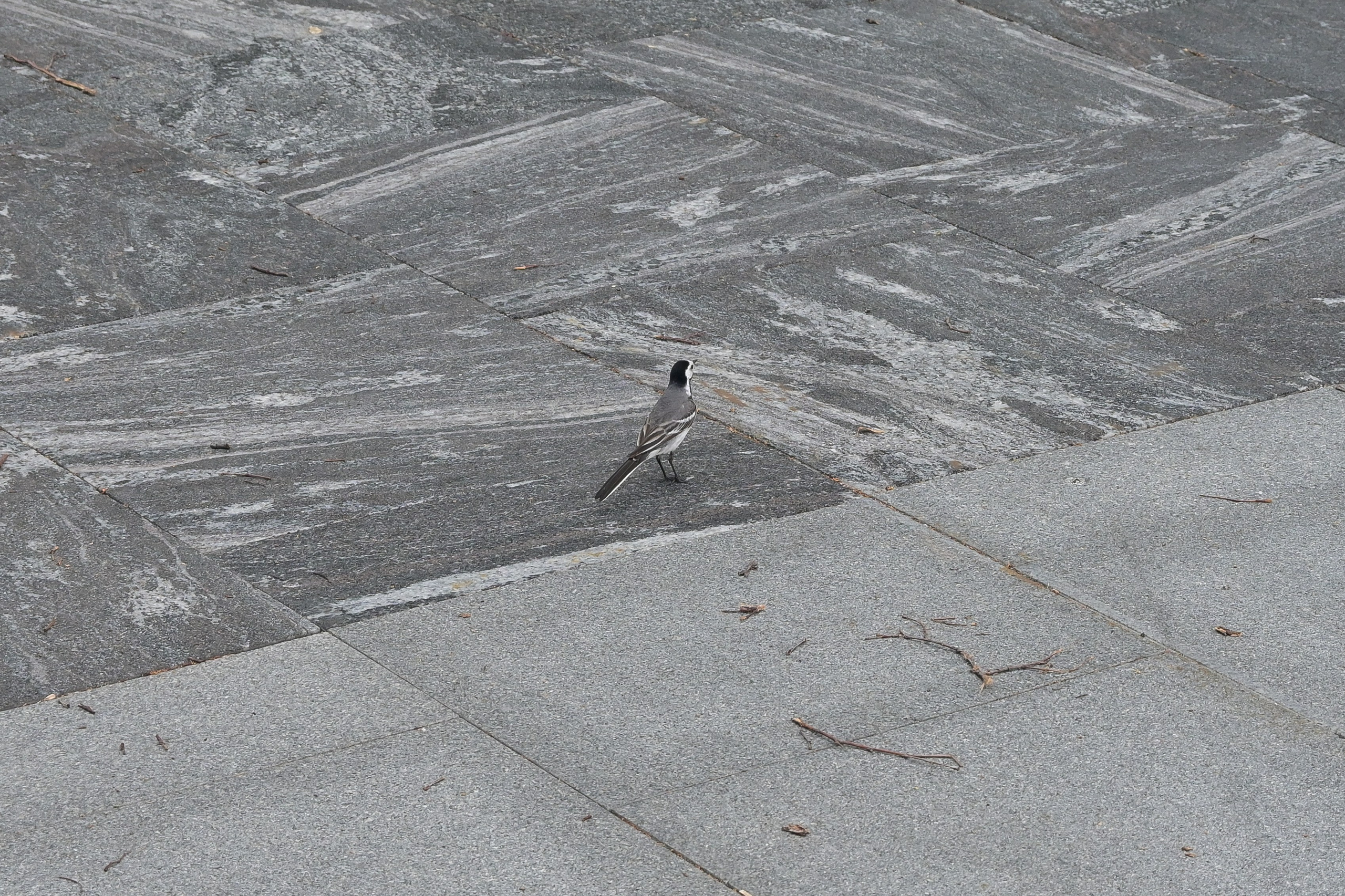 20 240 629 От Киевской до Арбатской. Дмитрий Ремизов. Фотография, как хобби