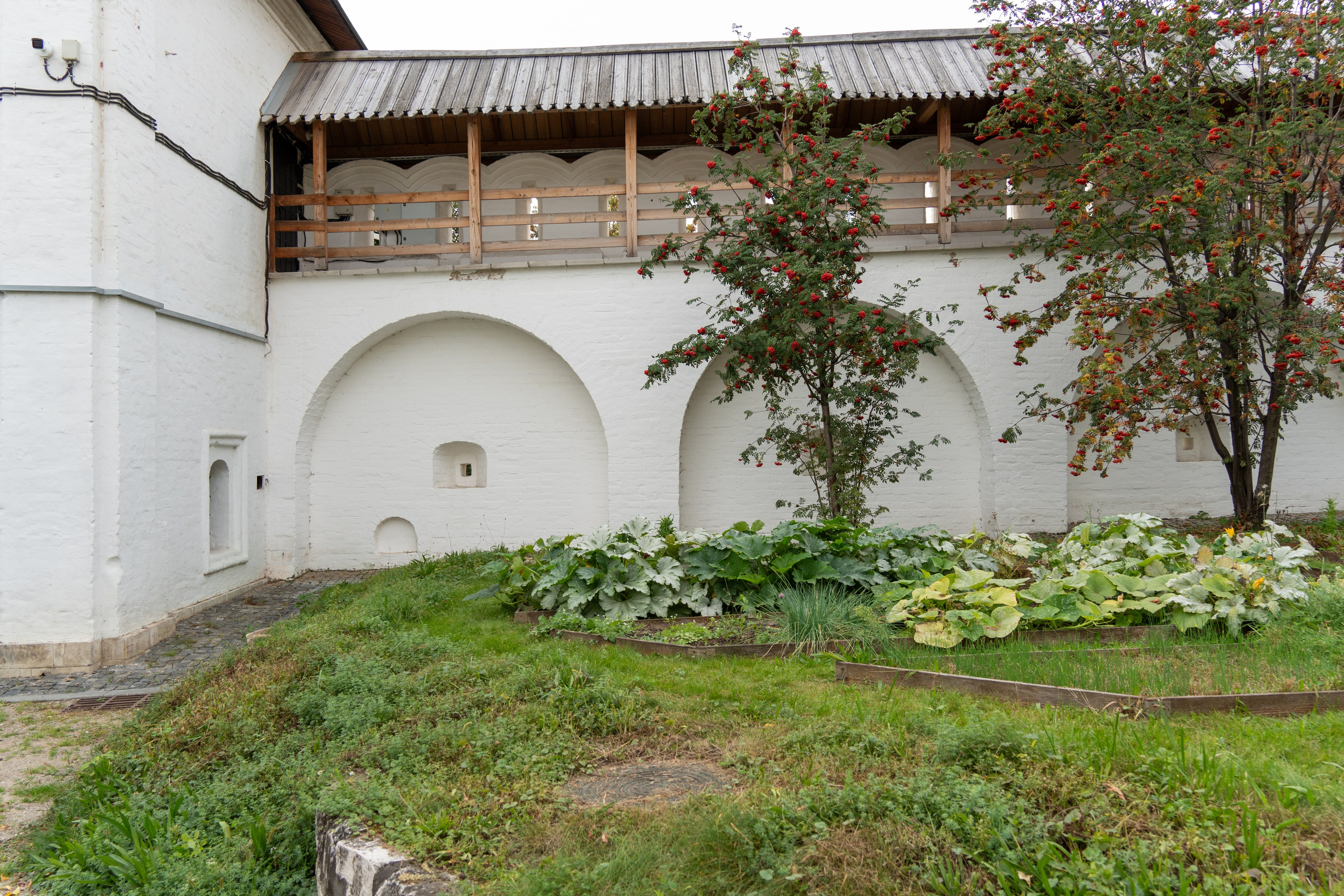 20250921 Таганка-Курская. Дмитрий Ремизов. Фотография, как хобби